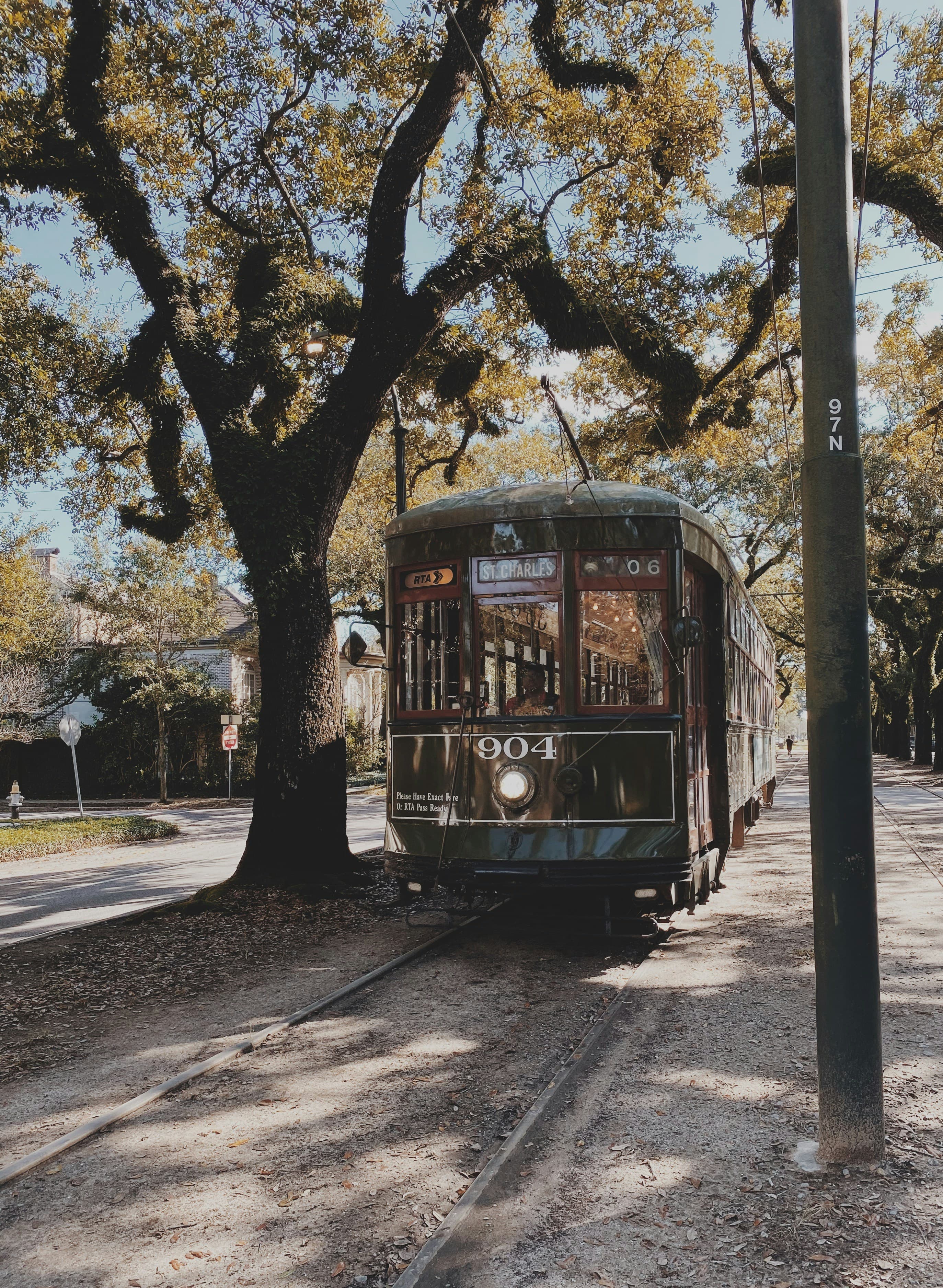 New Orleans: A City That Dances to Its Own Rhythm curated by Robert Kenmore