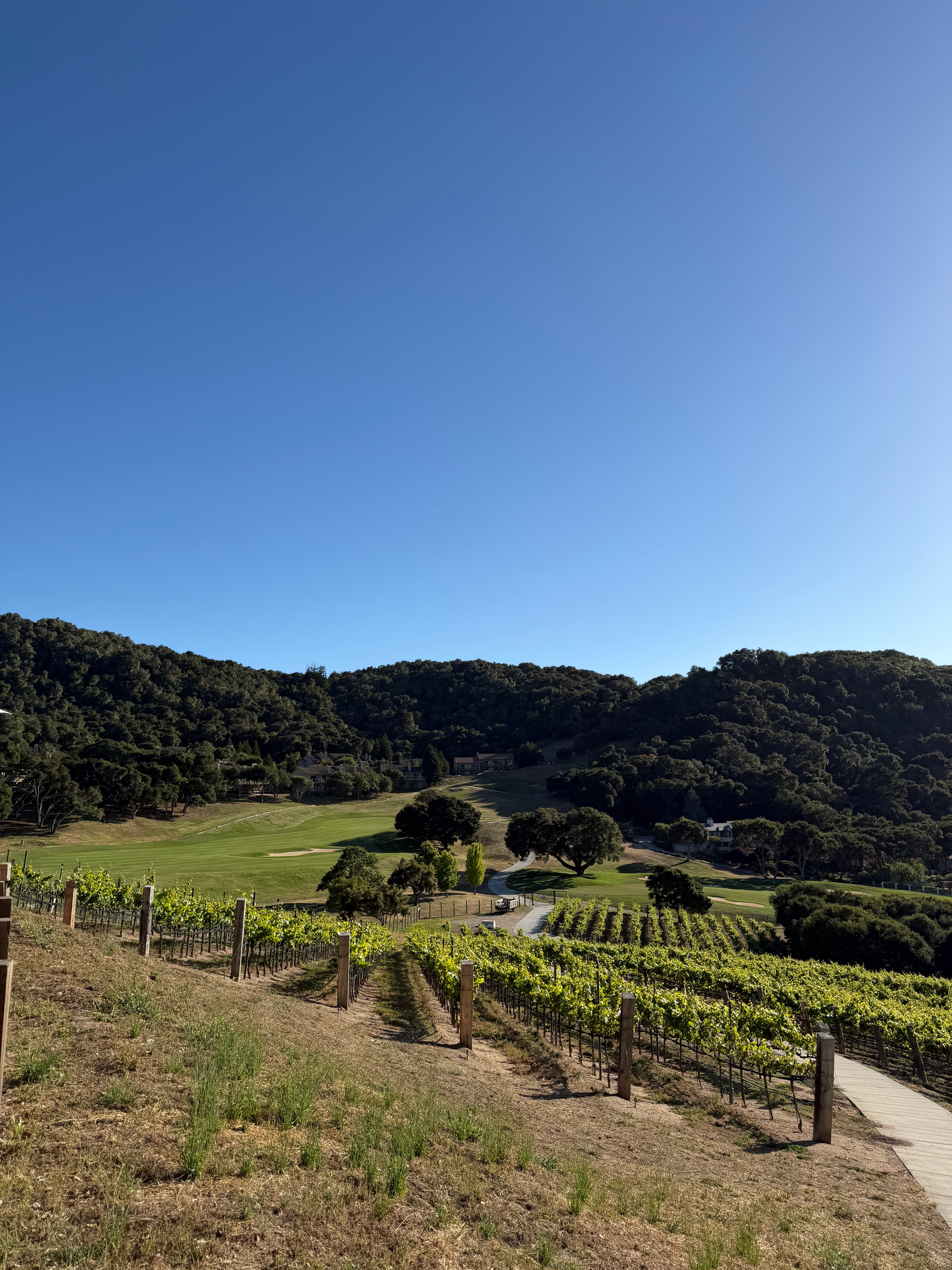 Carmel Valley Ranch for the Family curated by Minerva Li