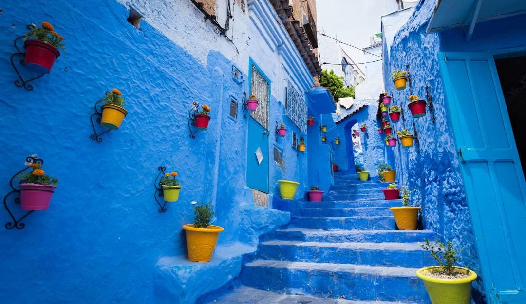 Morocco: A Journey That Changed Me curated by Susan Thompson