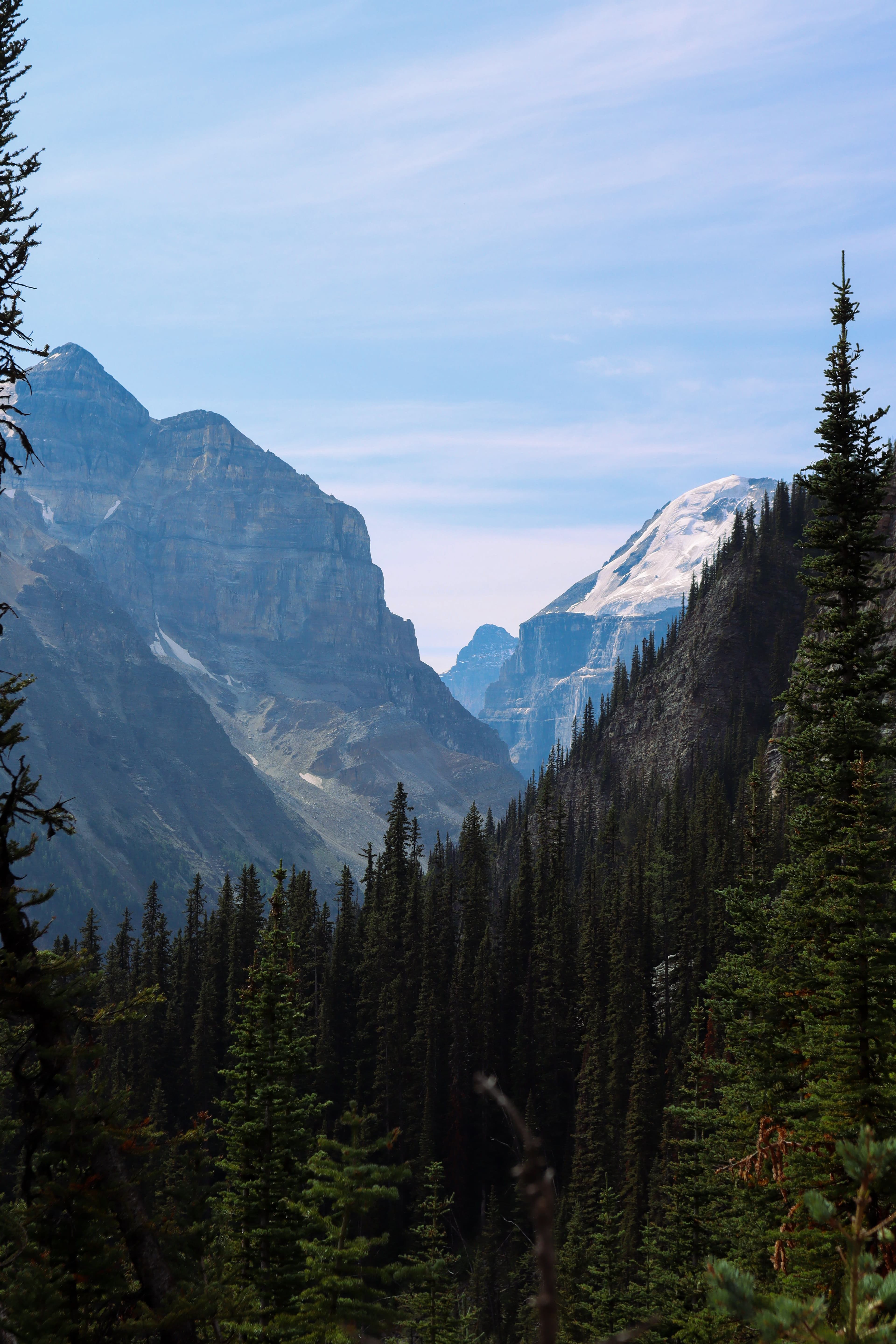 Banff: A Curated Guide to the Canadian Rockies curated by Suzanne Monte