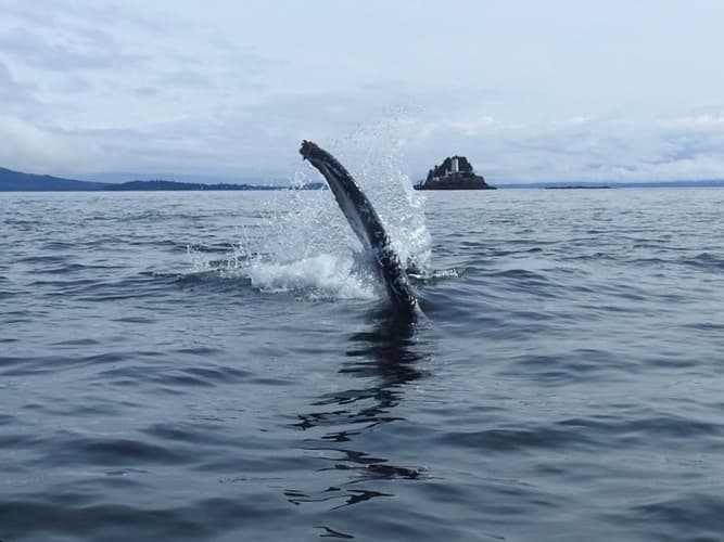 Alaska for Adventure Seekers with UnCruise curated by Cheryl Eaton