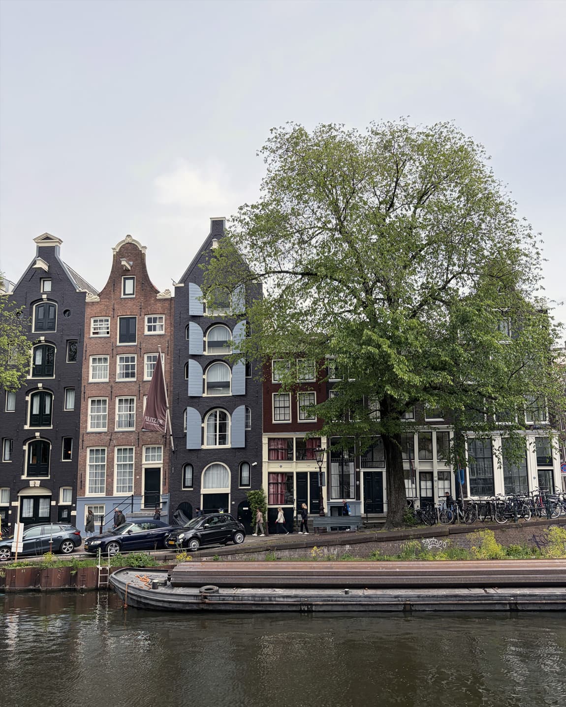 Amsterdam: Canals, Culture & Cosmopolitan Charm curated by Lucas Mittenentzwei