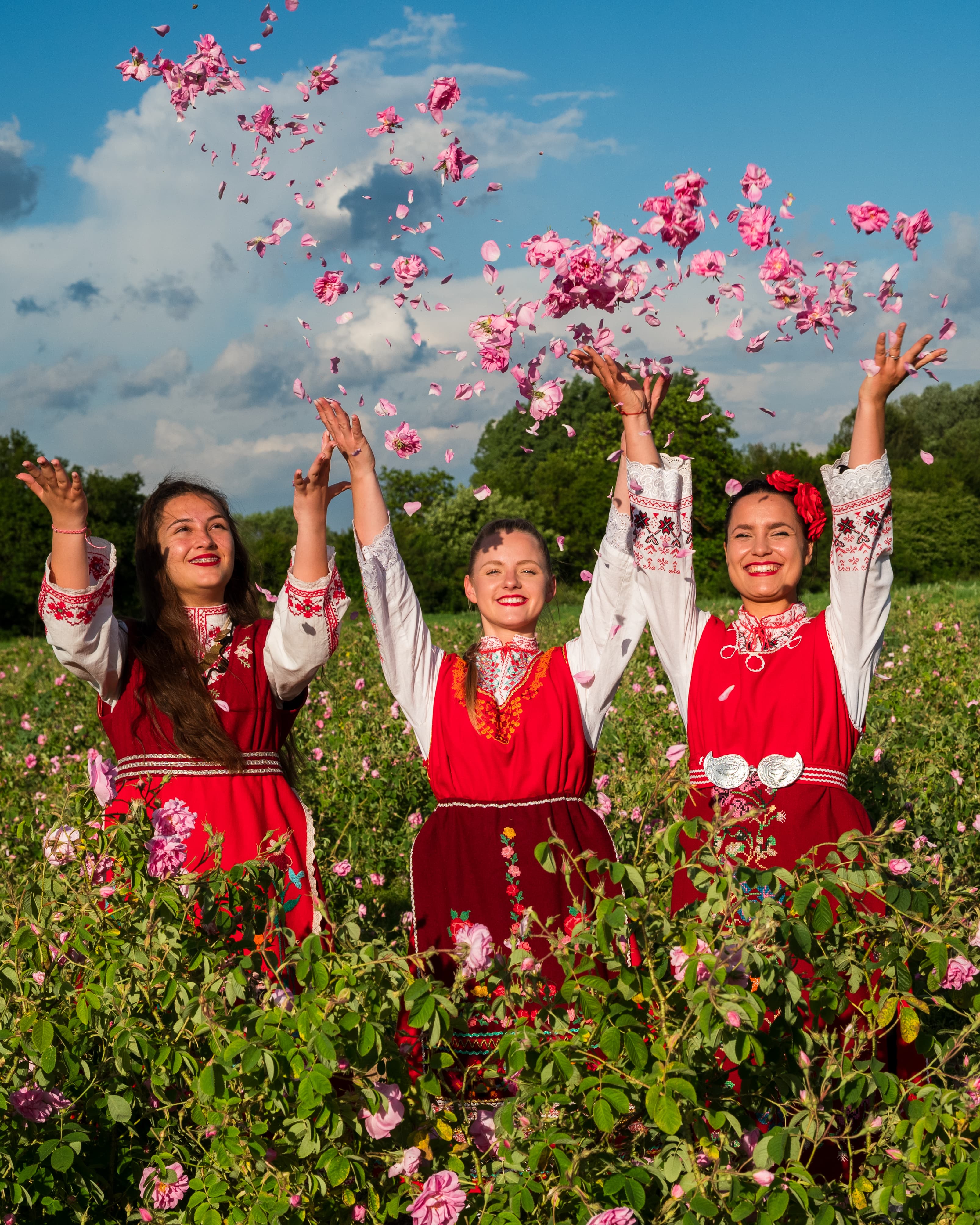 Chasing Roses in Bulgaria: A Peak Bloom Journey Through the Valley of Roses curated by Ena Singh