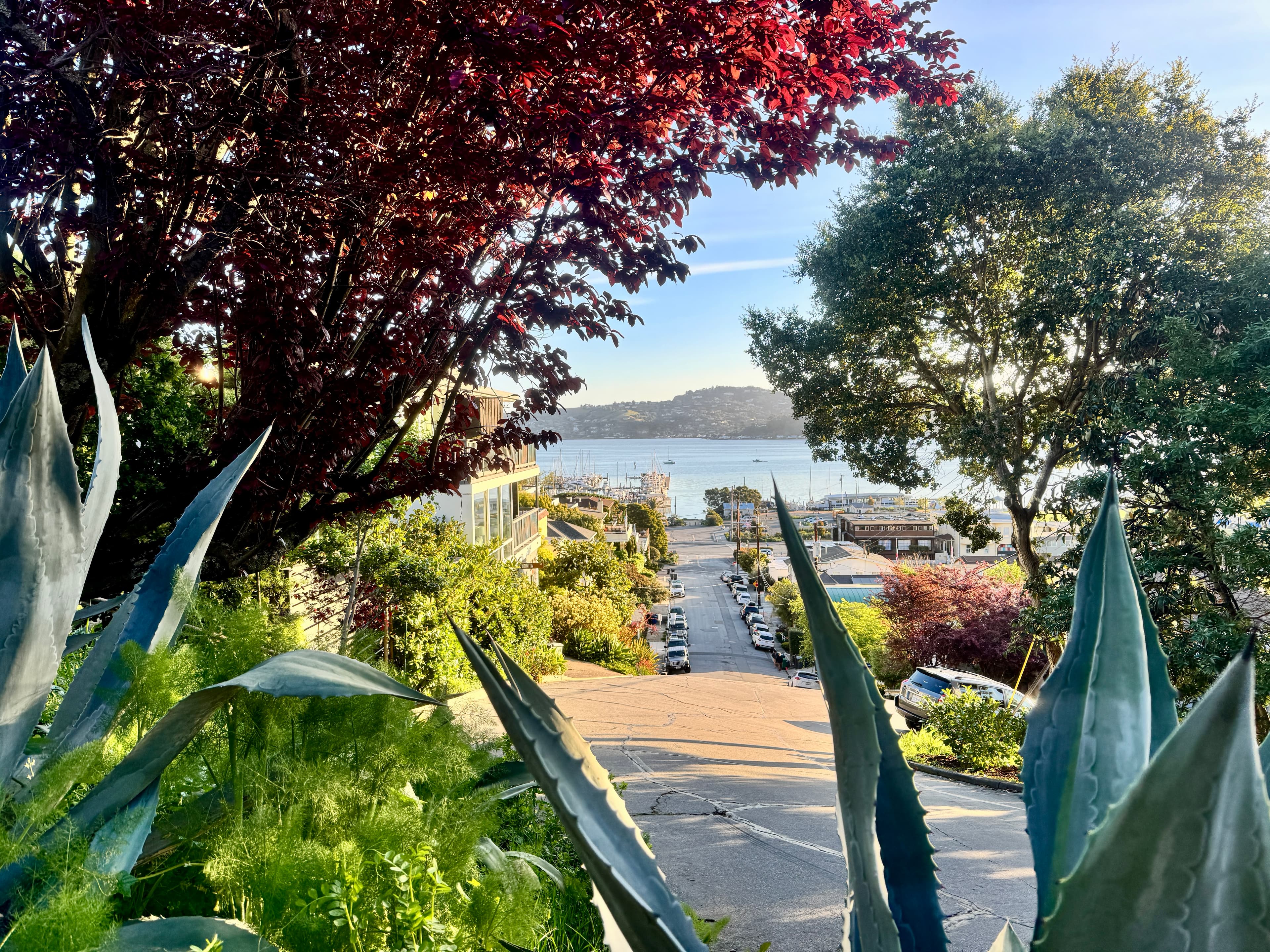 A Perfect Day in Sausalito curated by Hannah Branch