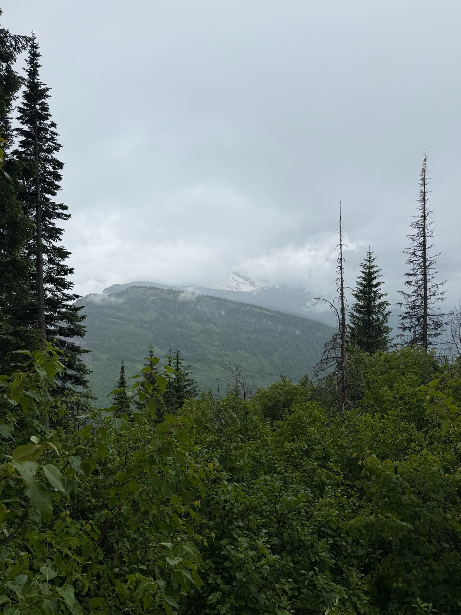 Whitefish, Montana: 4-Day Summer Itinerary curated by Mara Maund