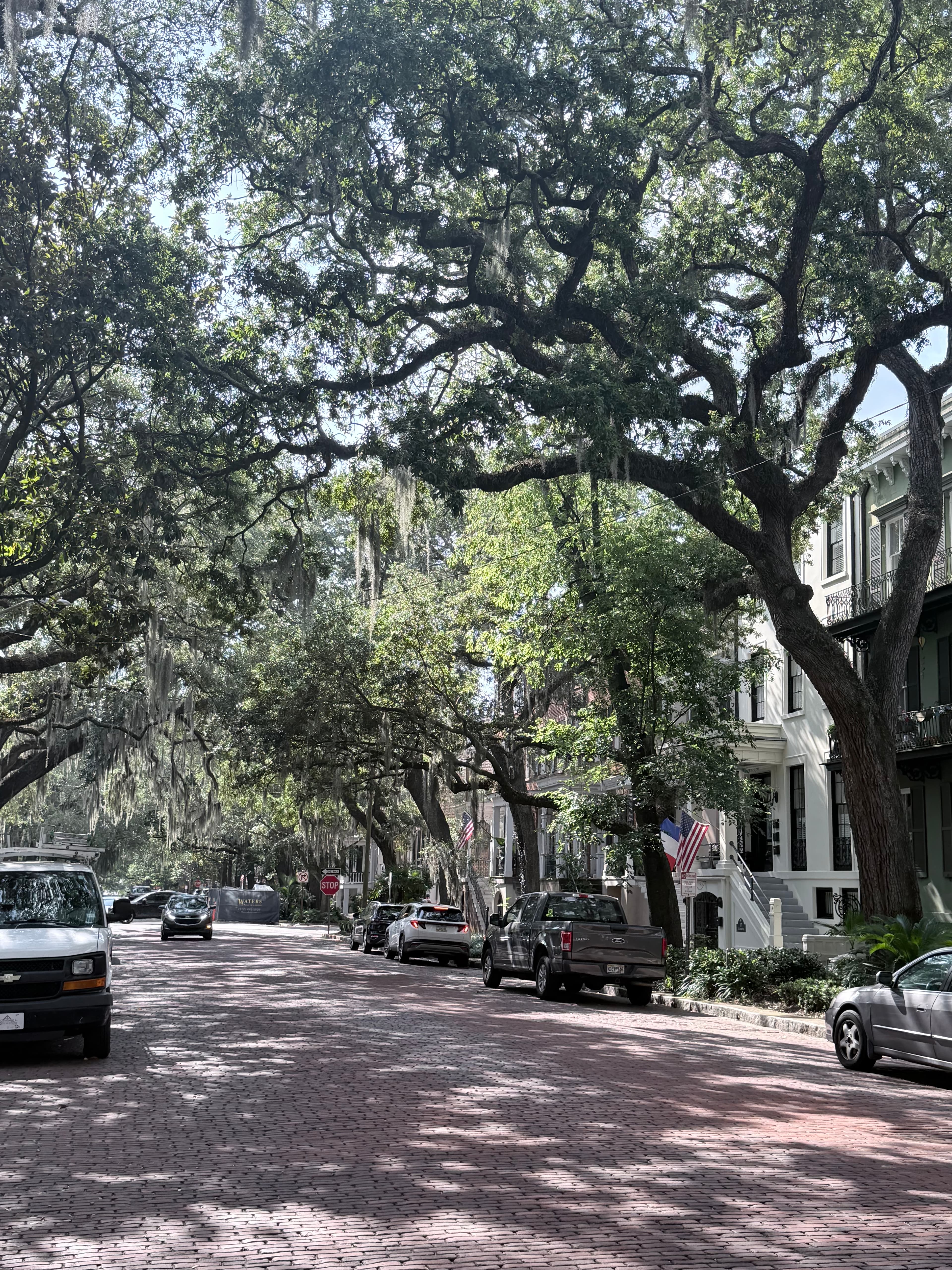 Discover Savannah's Southern Charm in 4 Days curated by Sara Sandman