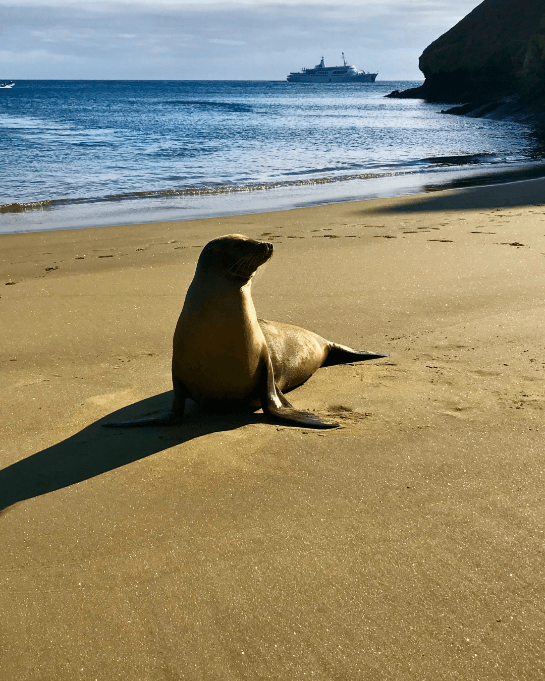 A Sustainable Expedition Aboard the Galápagos Legend curated by Regan Watson