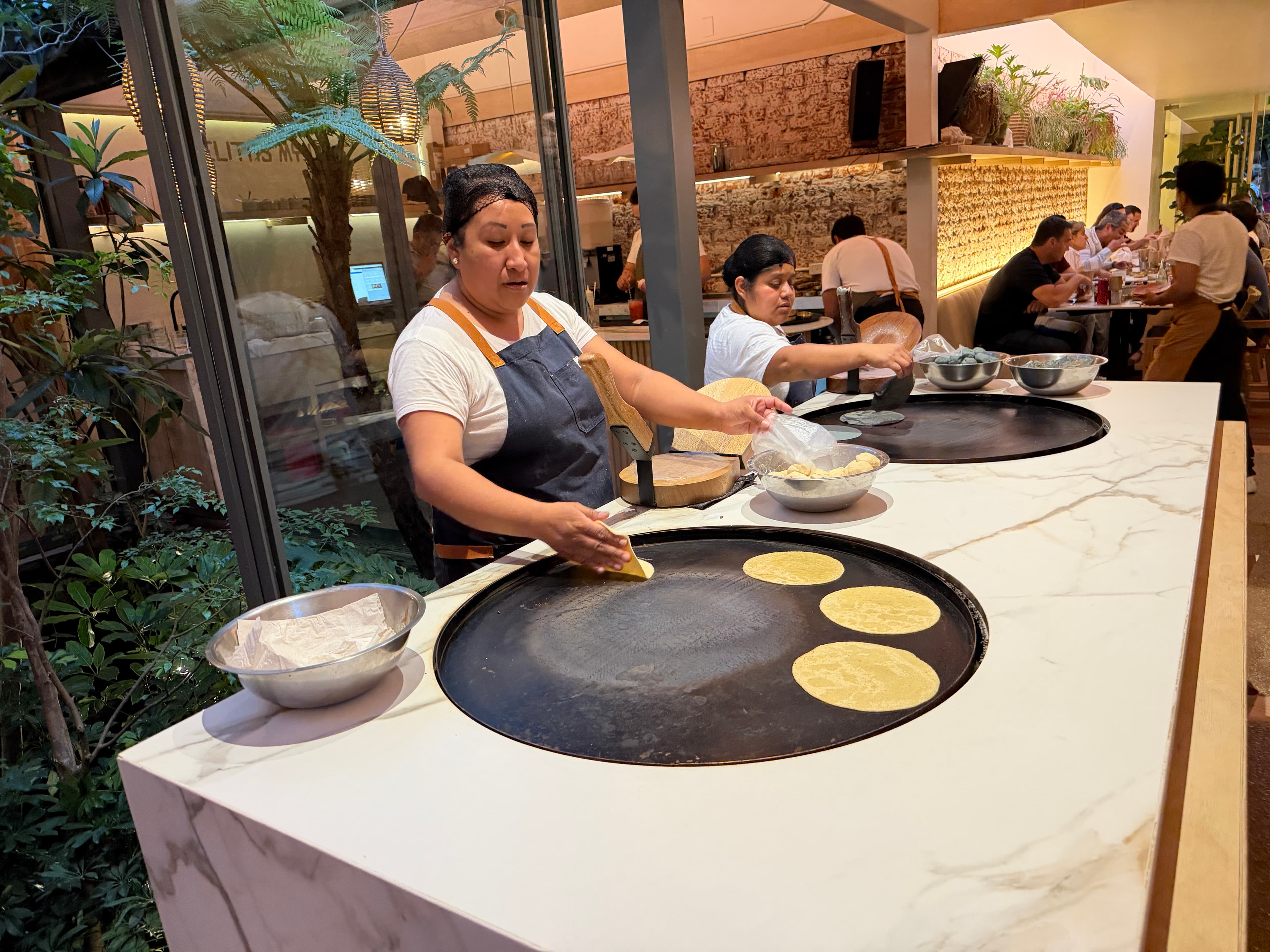 A Culinary Guide and More to Mexico City curated by Michael Perlo