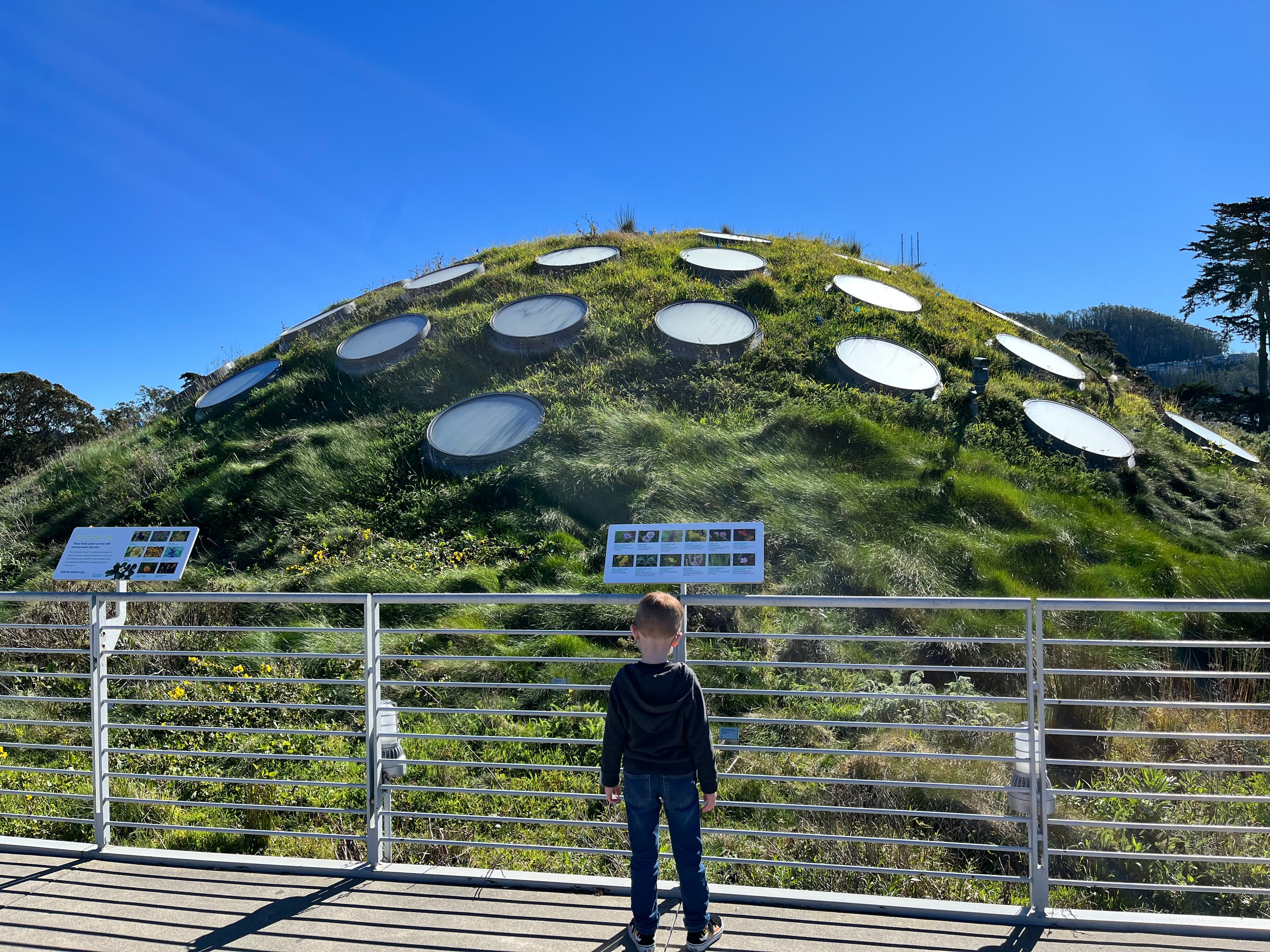 Travel photo 5