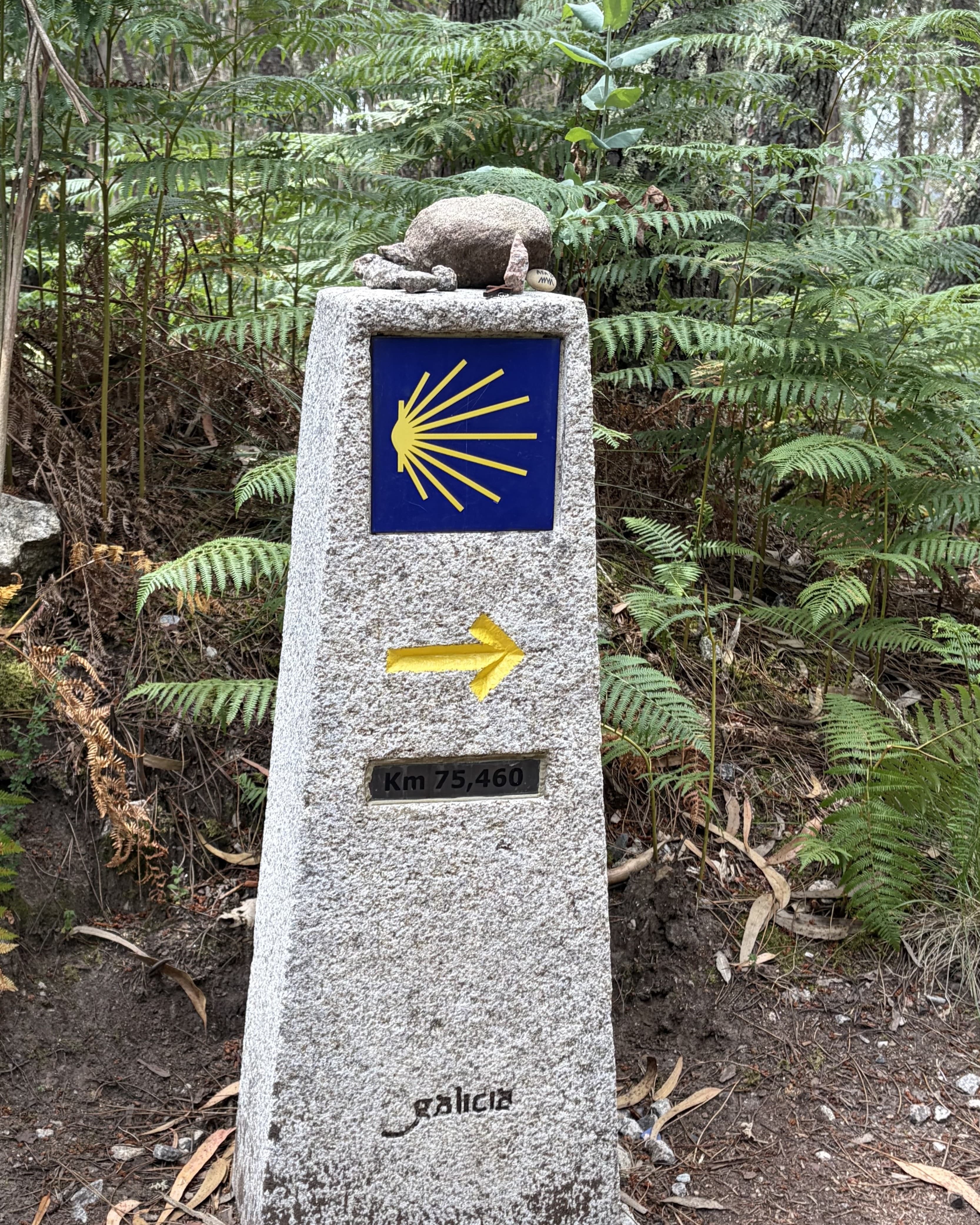 Walking the Portuguese Coastal Camino: Oia to Santiago de Compostela curated by Kristine Duffy