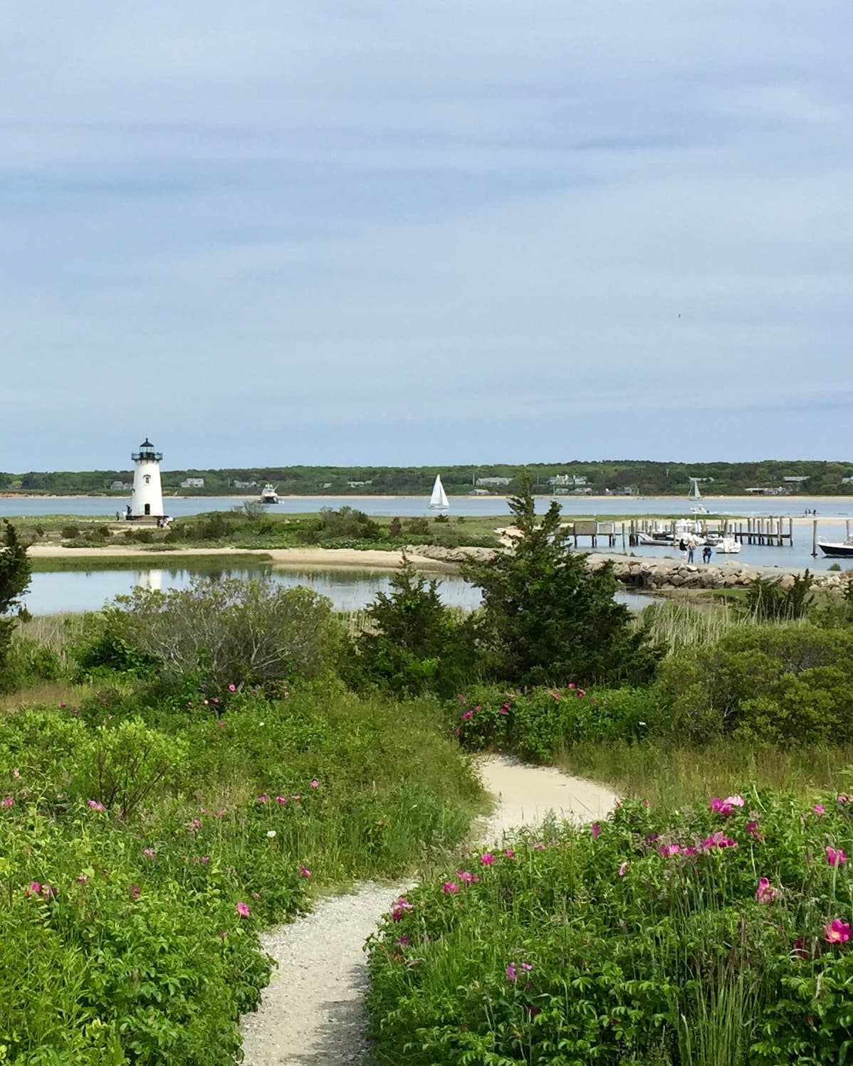 Martha's Vineyard, Massachusetts: An Insider's Guide to a Perfect Summer Weekend curated by Emily Rogers