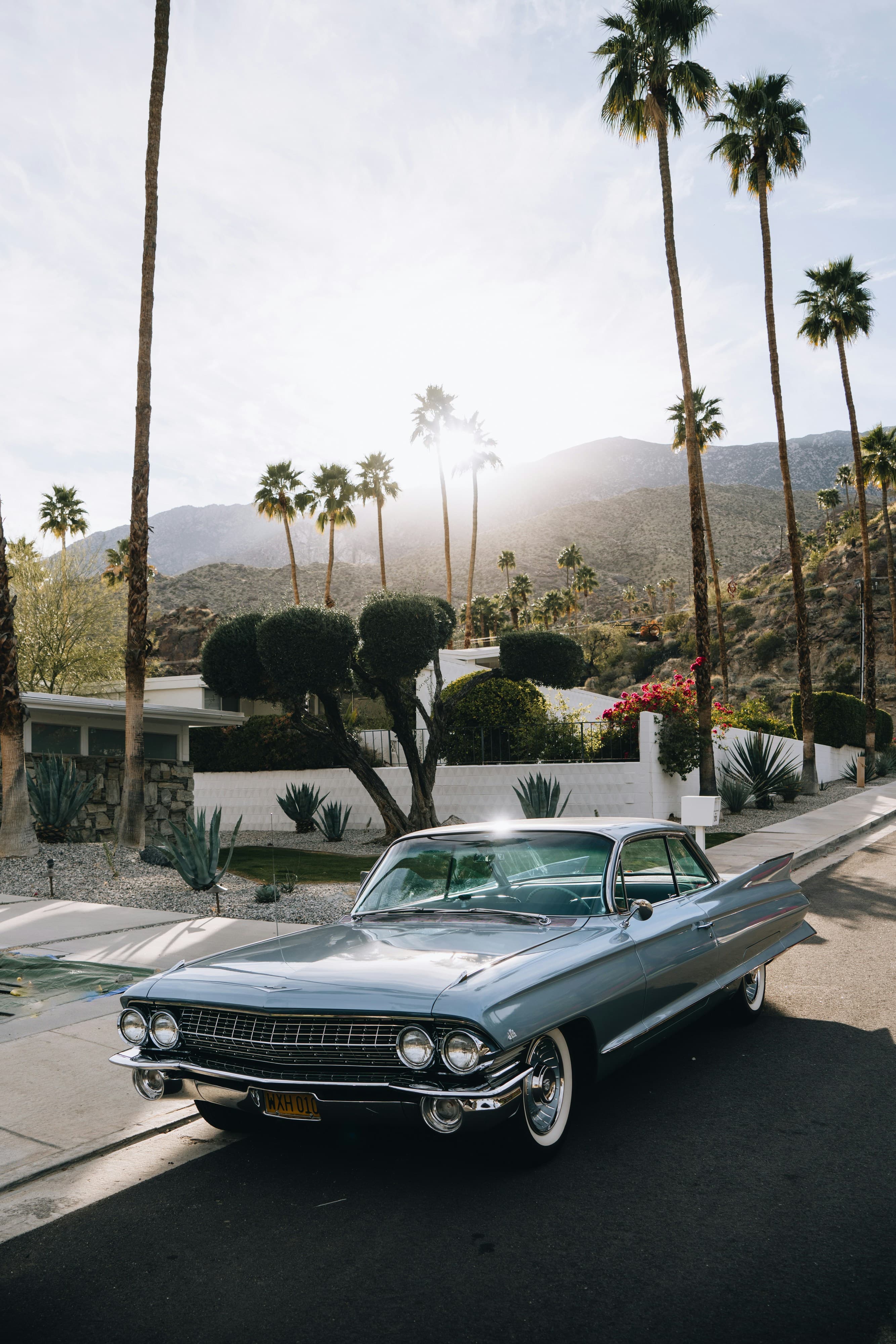 Palm Springs: Desert Light, Mid‑Century Charm & Slow, Stylish Living curated by Raven Gairy