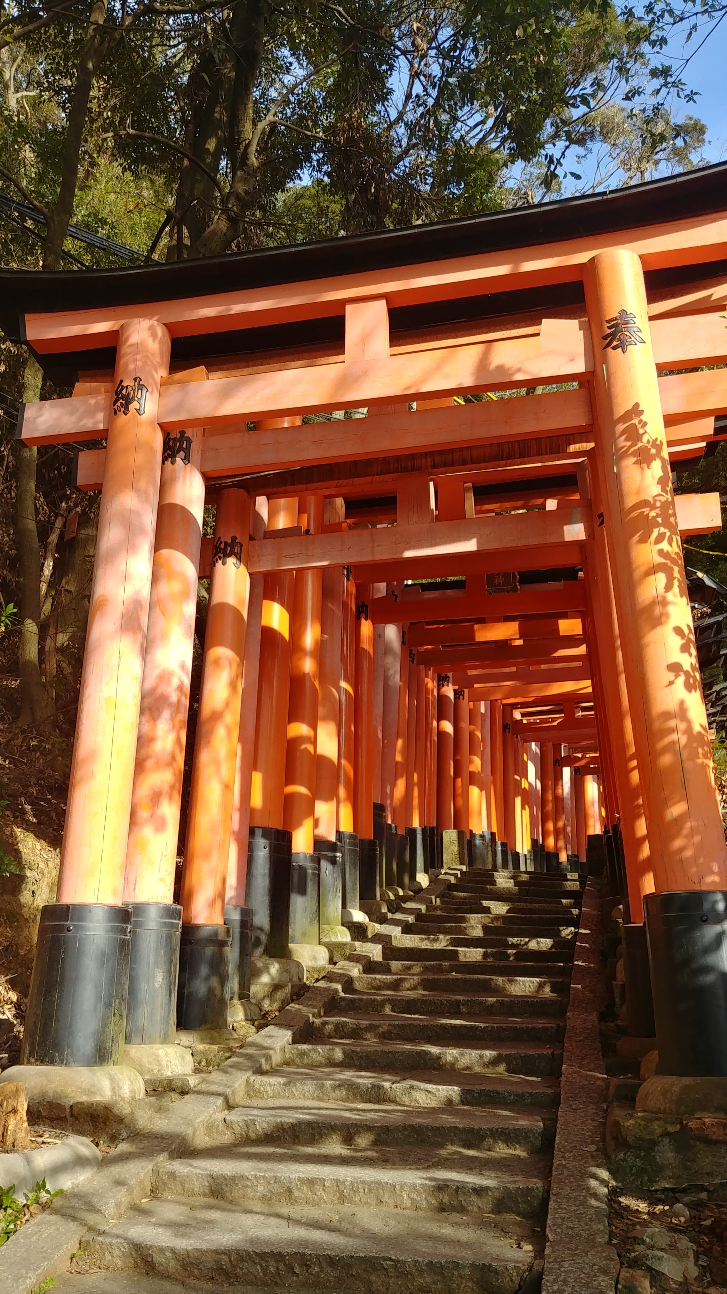 Travel photo 6