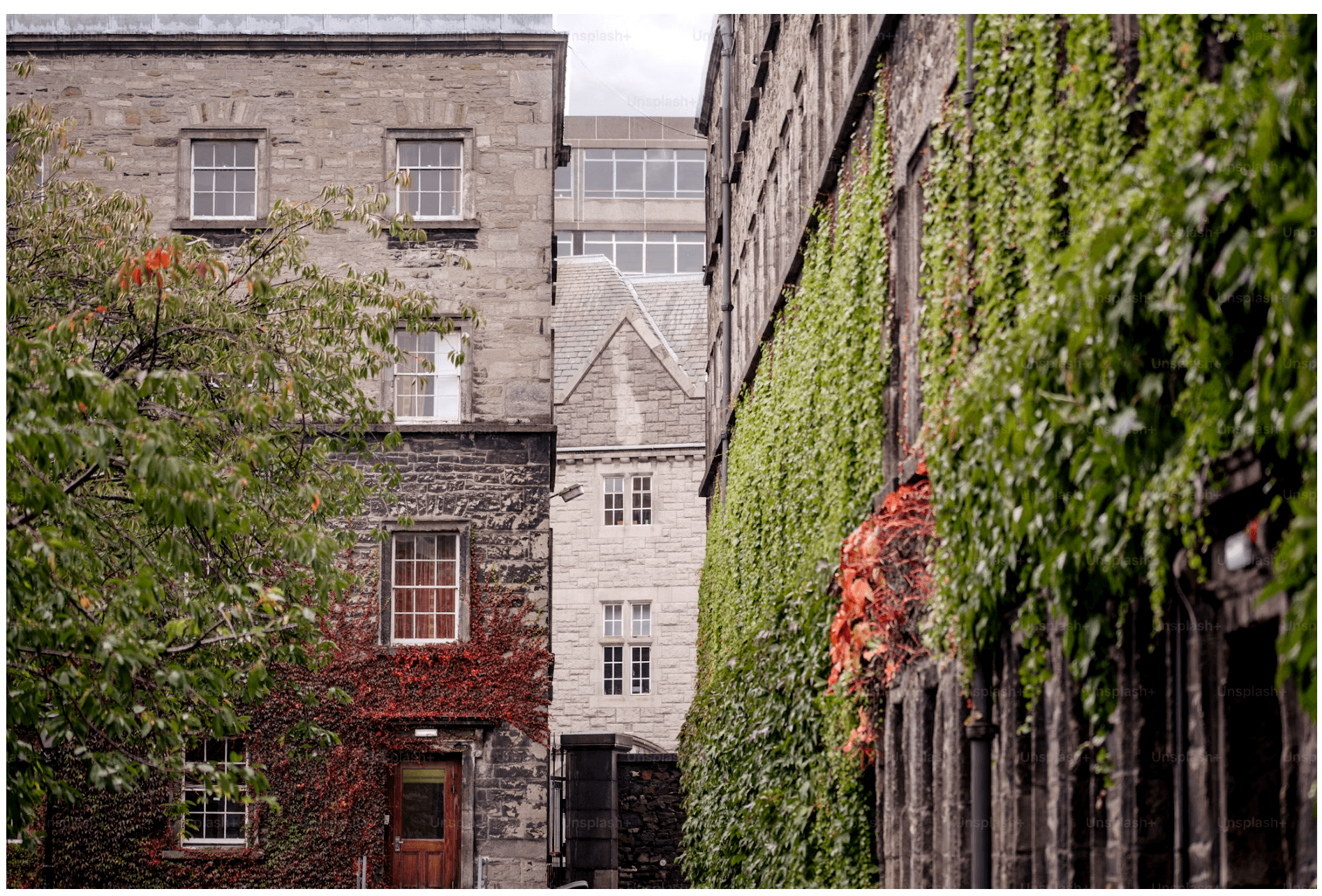 Craic & Culinary: Where to Eat & Drink in Dublin curated by Jorie Jenkins