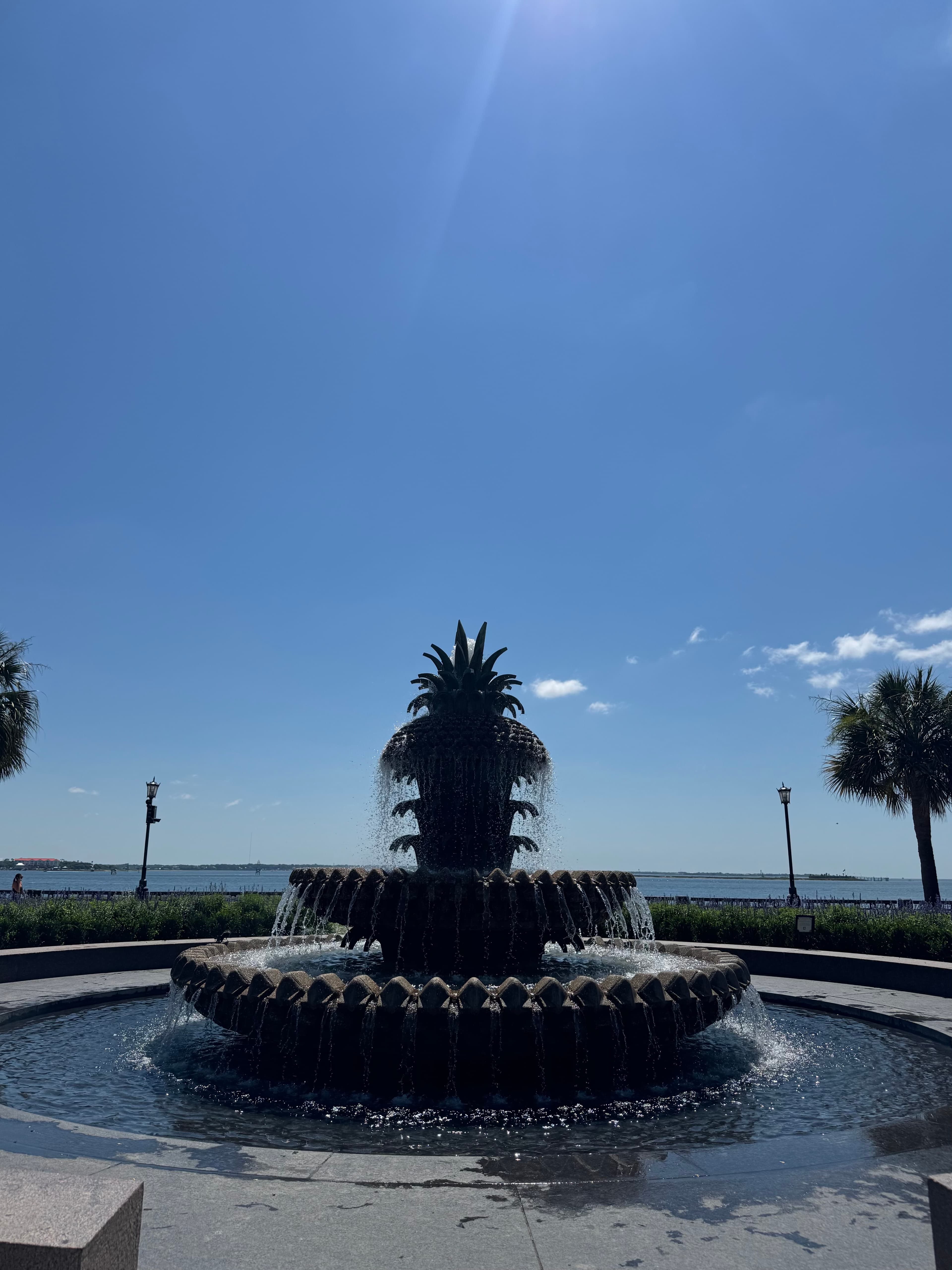 3-Day Getaway in Charleston curated by Allie Vaught
