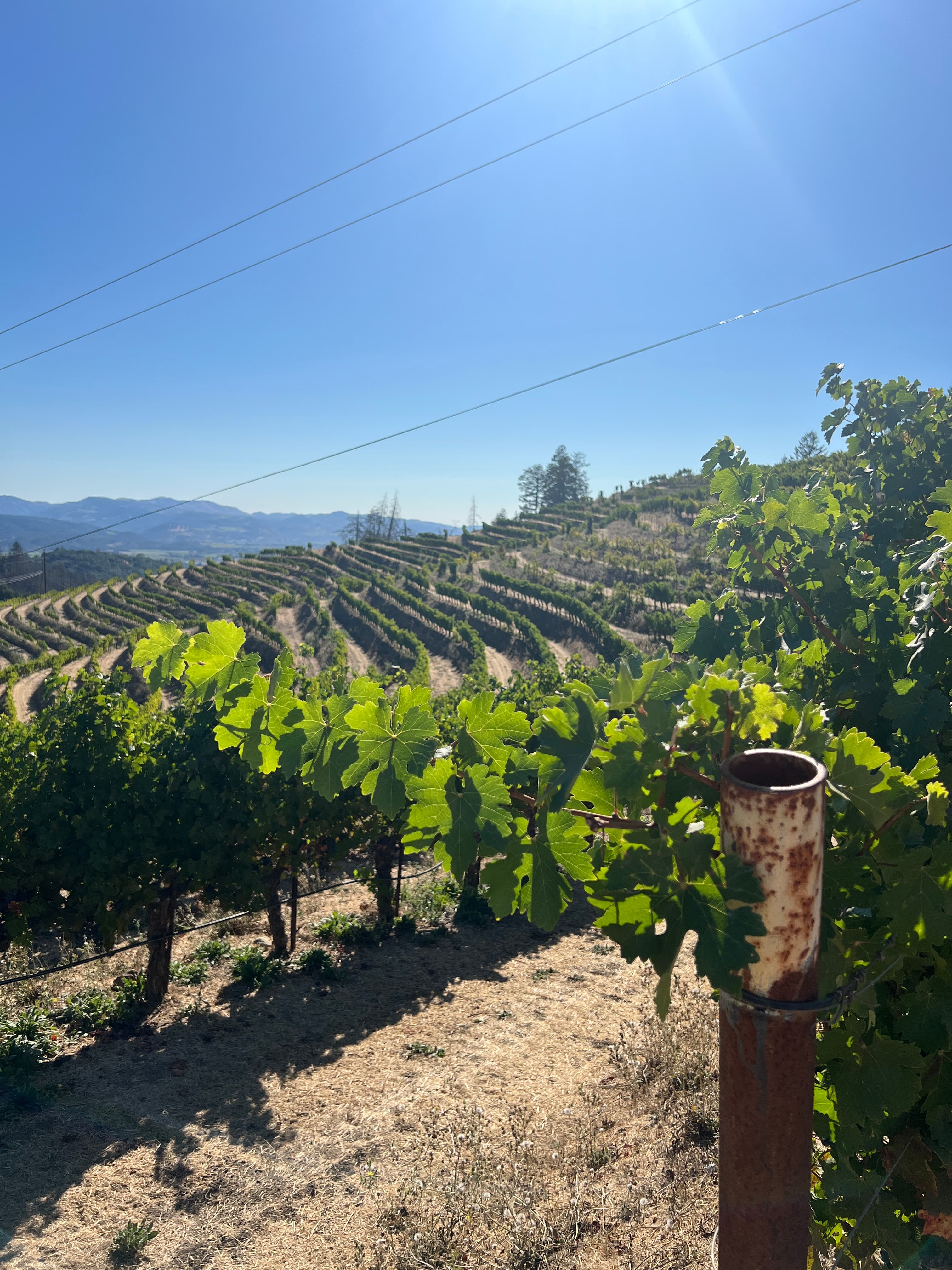The Napa Valley Most Visitors Miss curated by Autumn Anderson