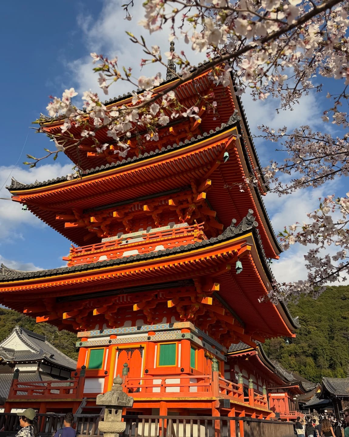 Mountains & Temples & Trains (Oh My!)—A Guide to Japan with Kids curated by Allison Bland
