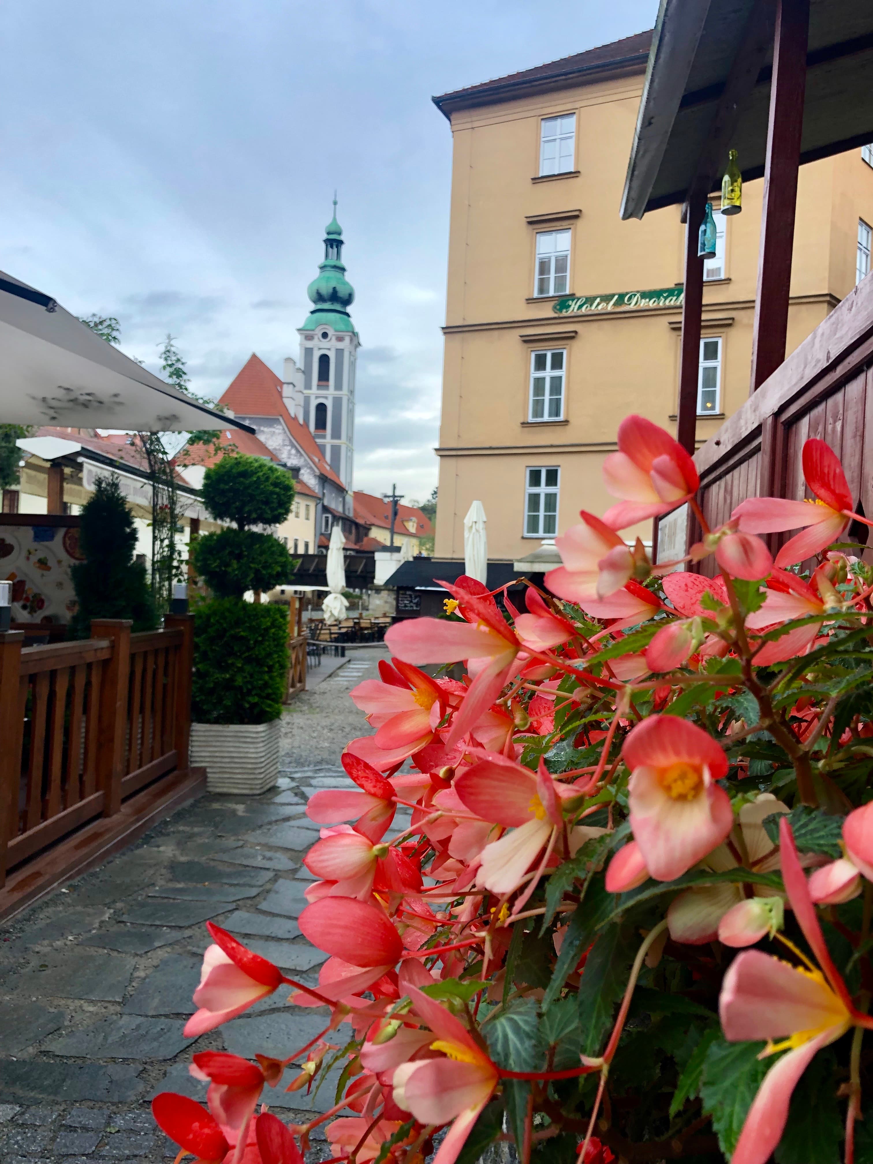 Travel photo 5
