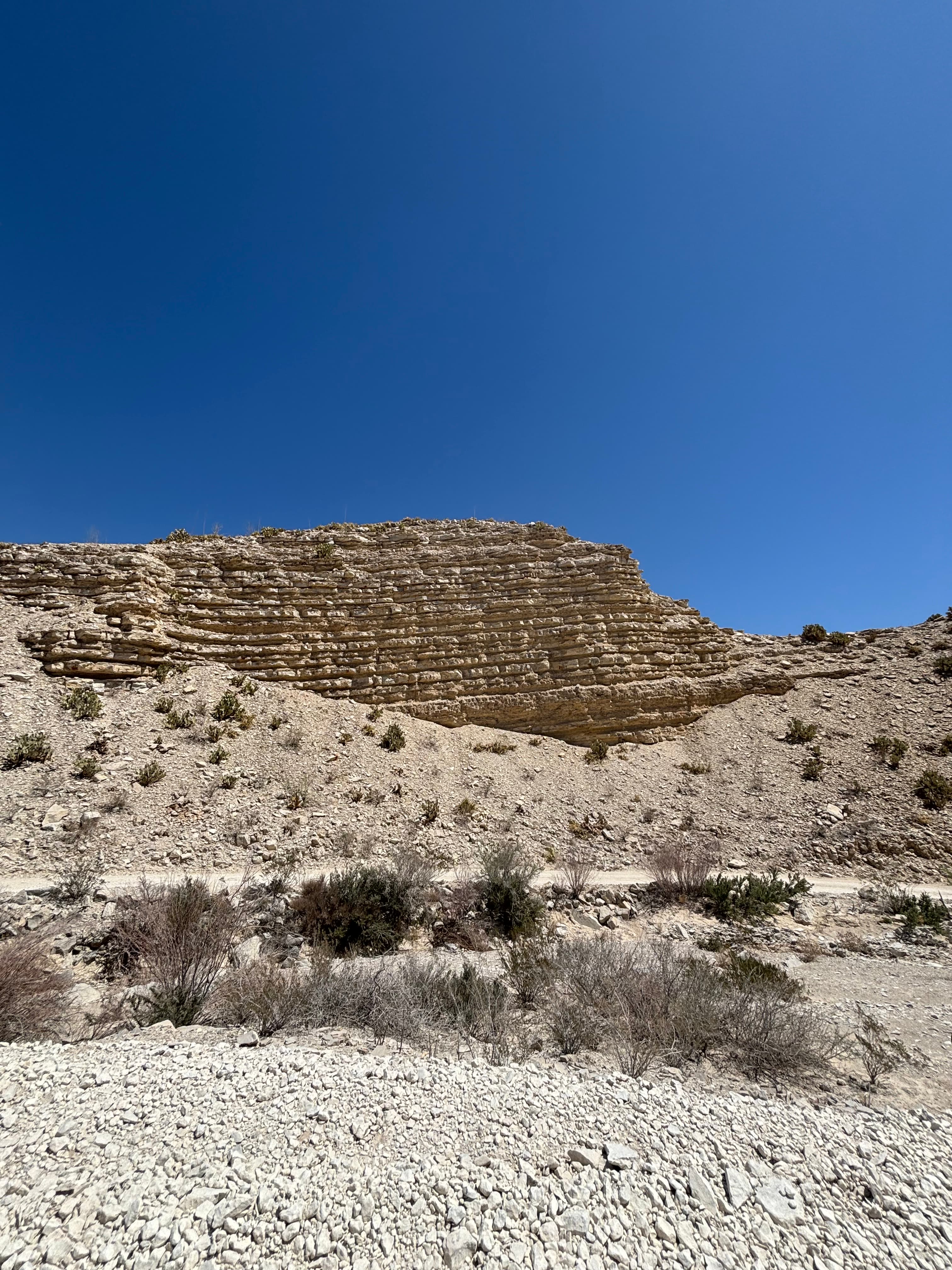 Open Spaces & Stargazing: A Visit to Beautiful Big Bend curated by Ellen Reinhold