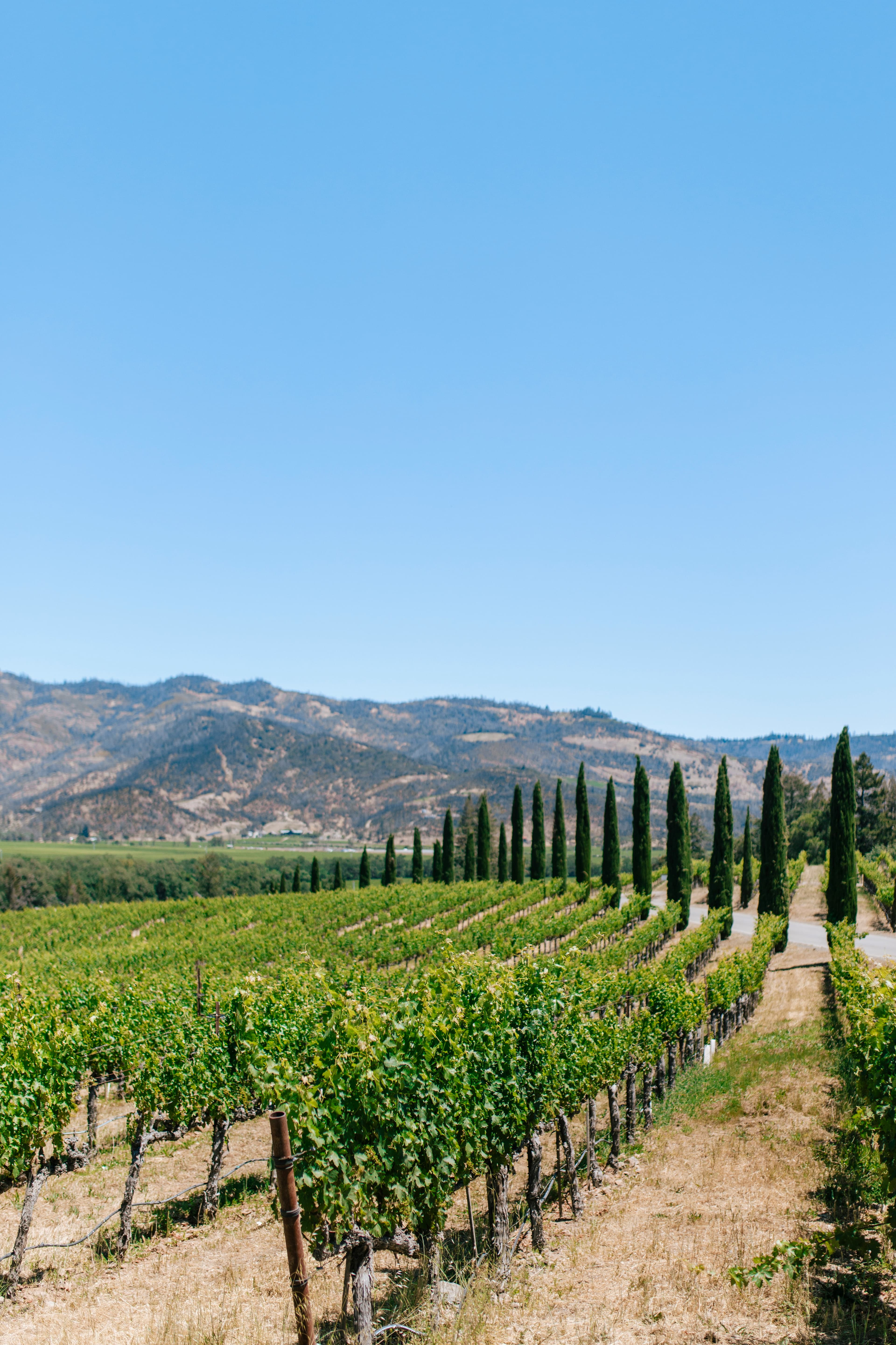 Girls' Weekend in Napa: The Ultimate 3-Day Itinerary curated by Melissa Flesch