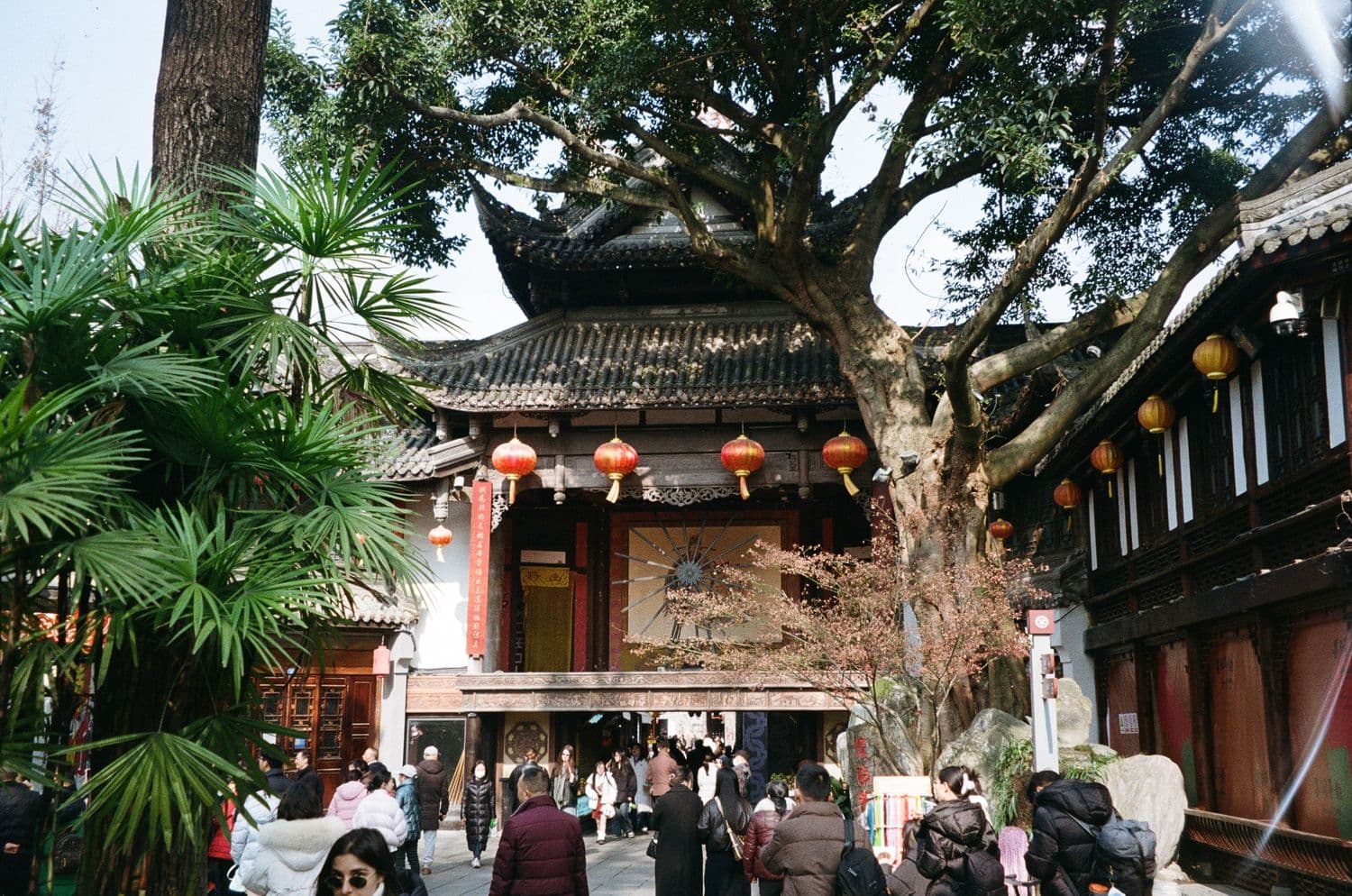 Travel photo 7