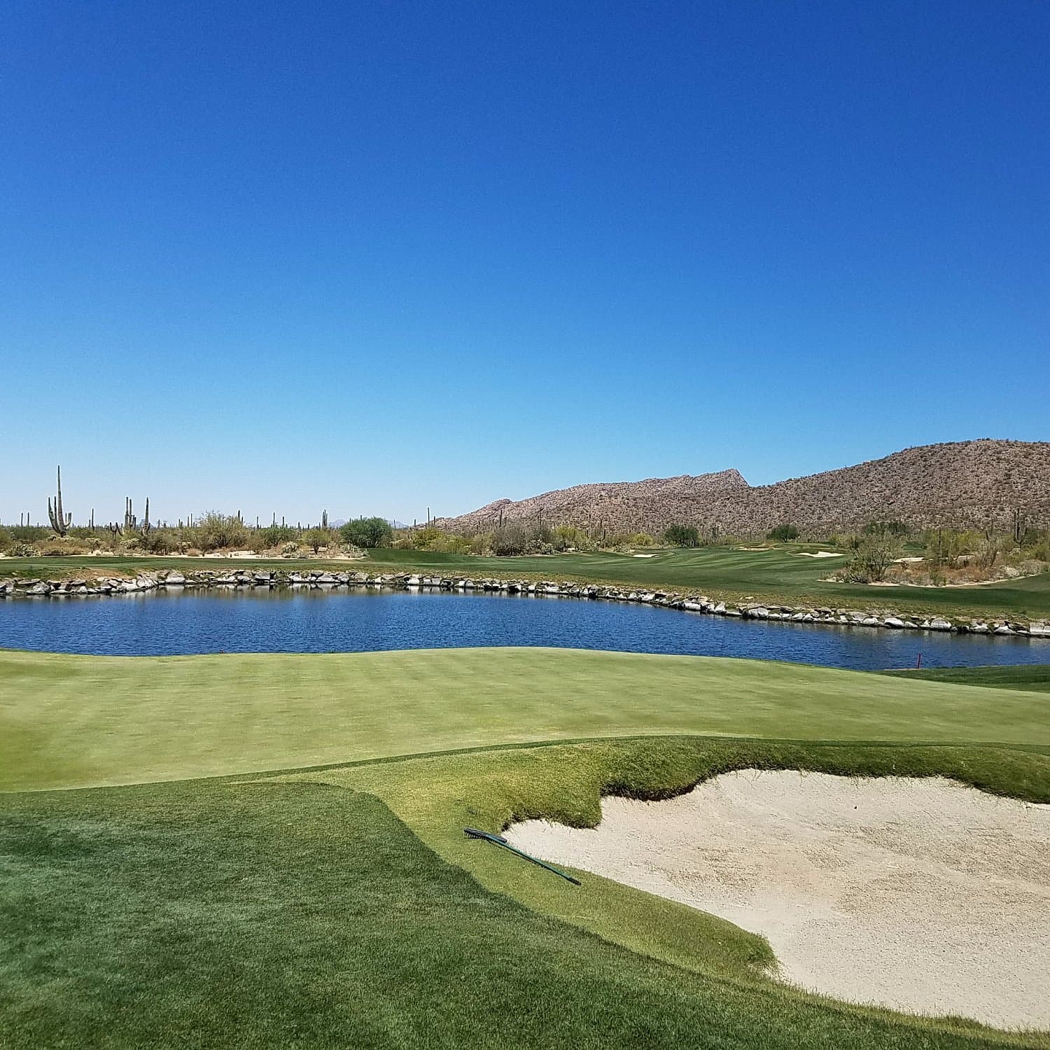5 Days of Golf in Tucson curated by Mani Boatright