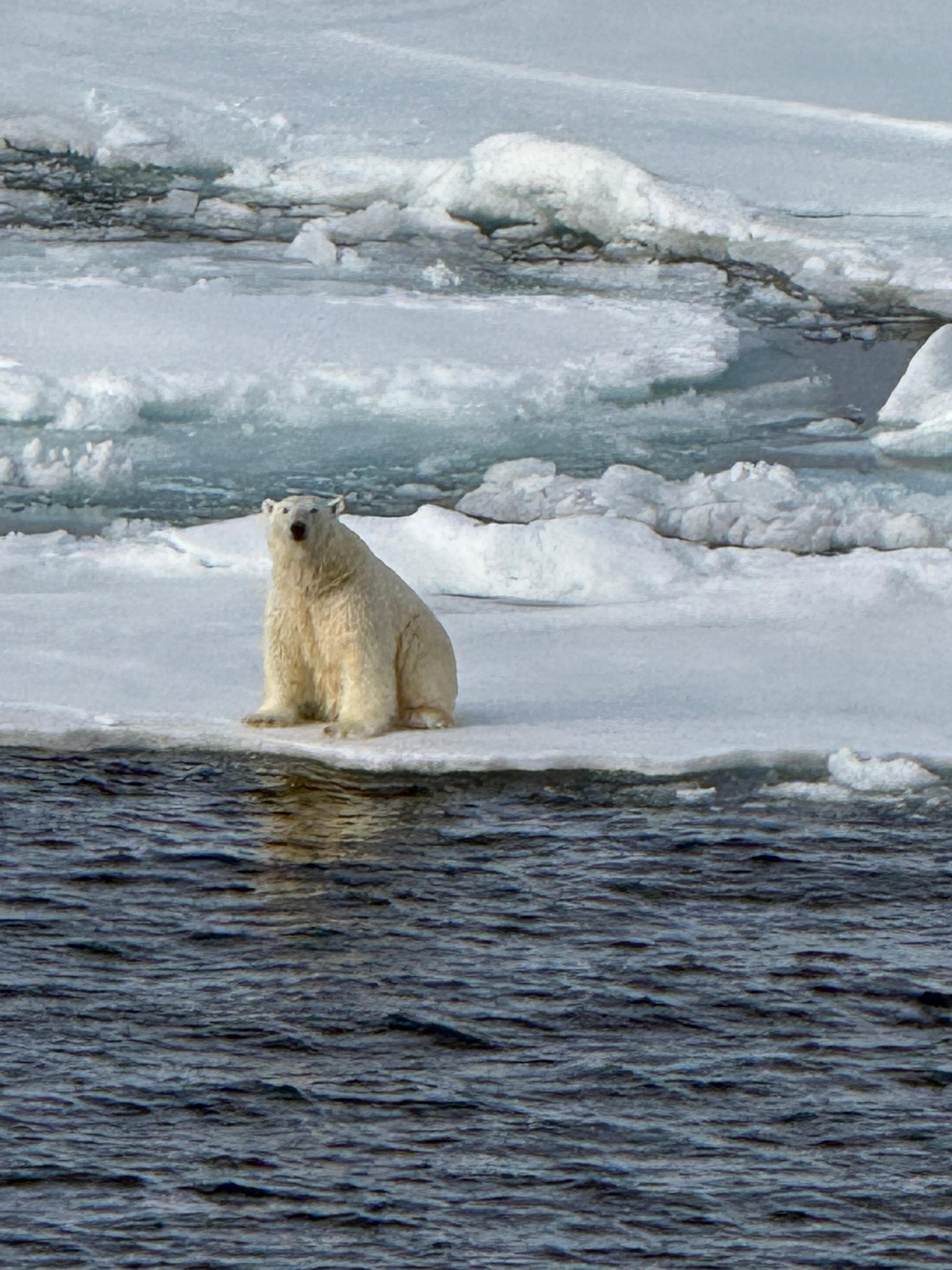 Aurora Expeditions: Svalbard In Depth Aboard the Sylvia Earle curated by Jonna Robertson