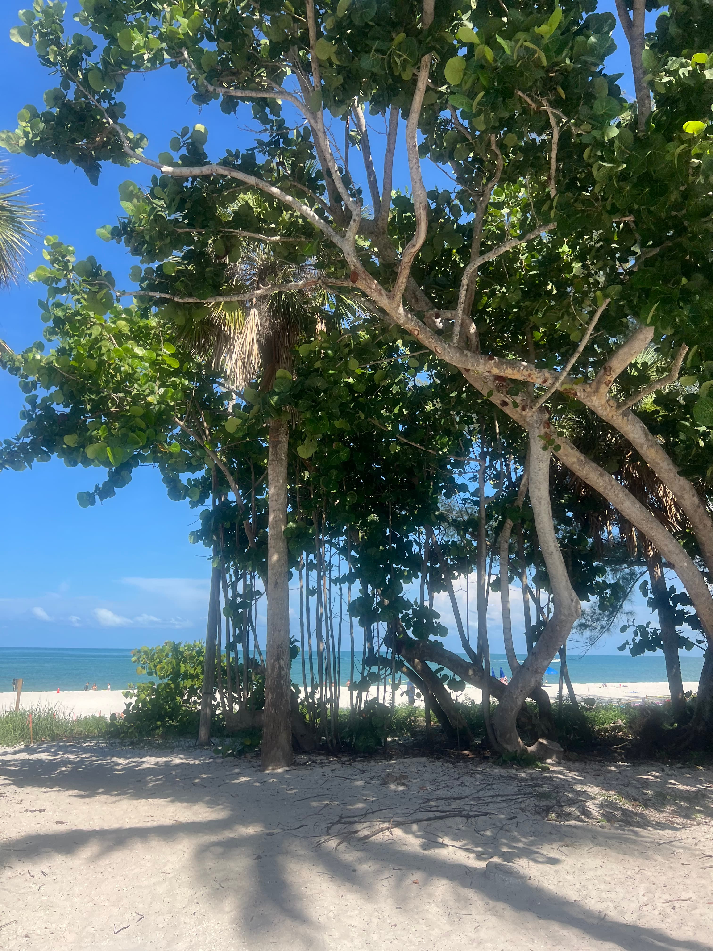 A Local’s Guide to the Best of Naples, Florida curated by Sara Sandman