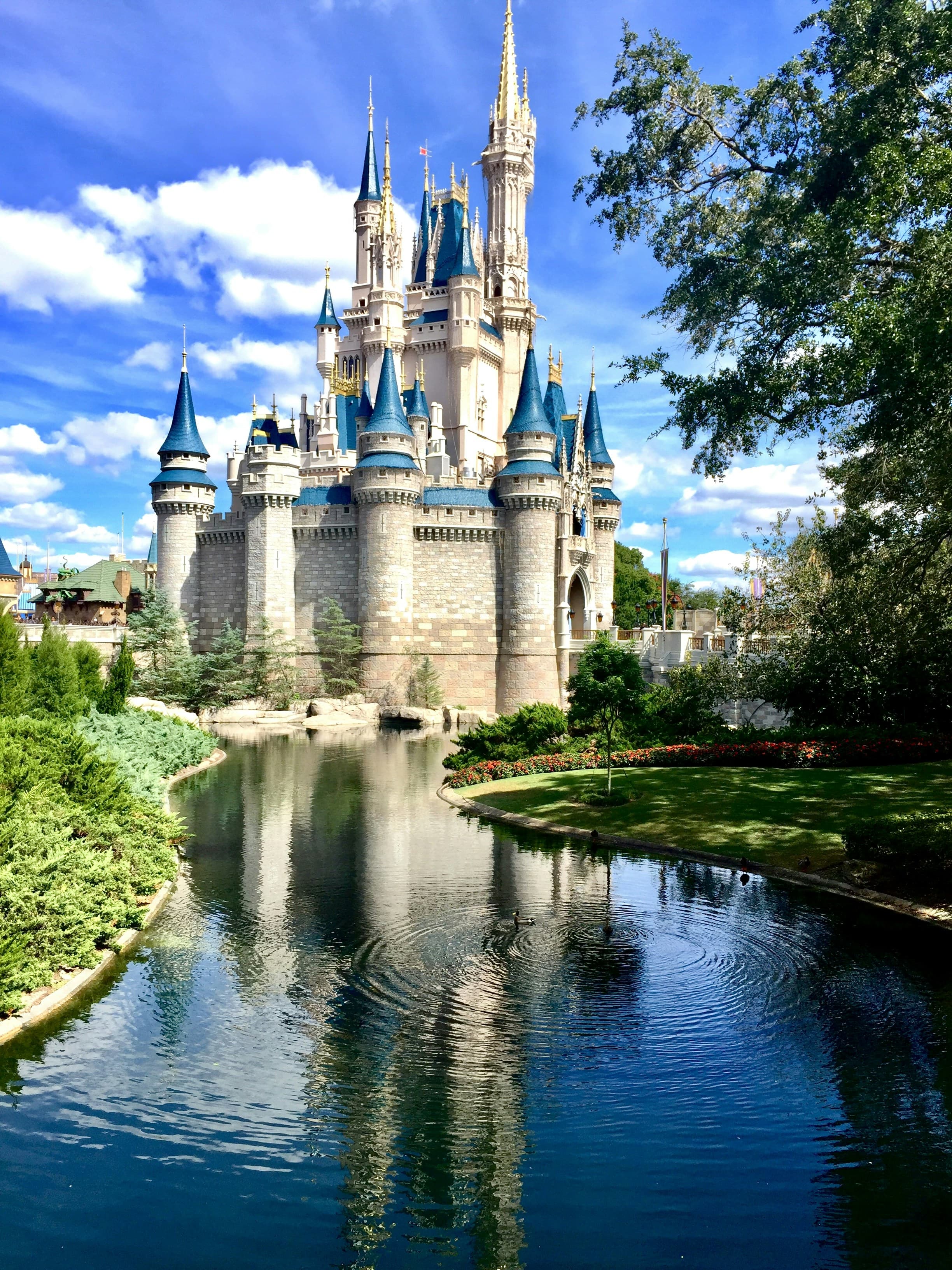 Sensory- & Autism-Friendly Resorts at Walt Disney World: A Complete Family Guide curated by John Alberts