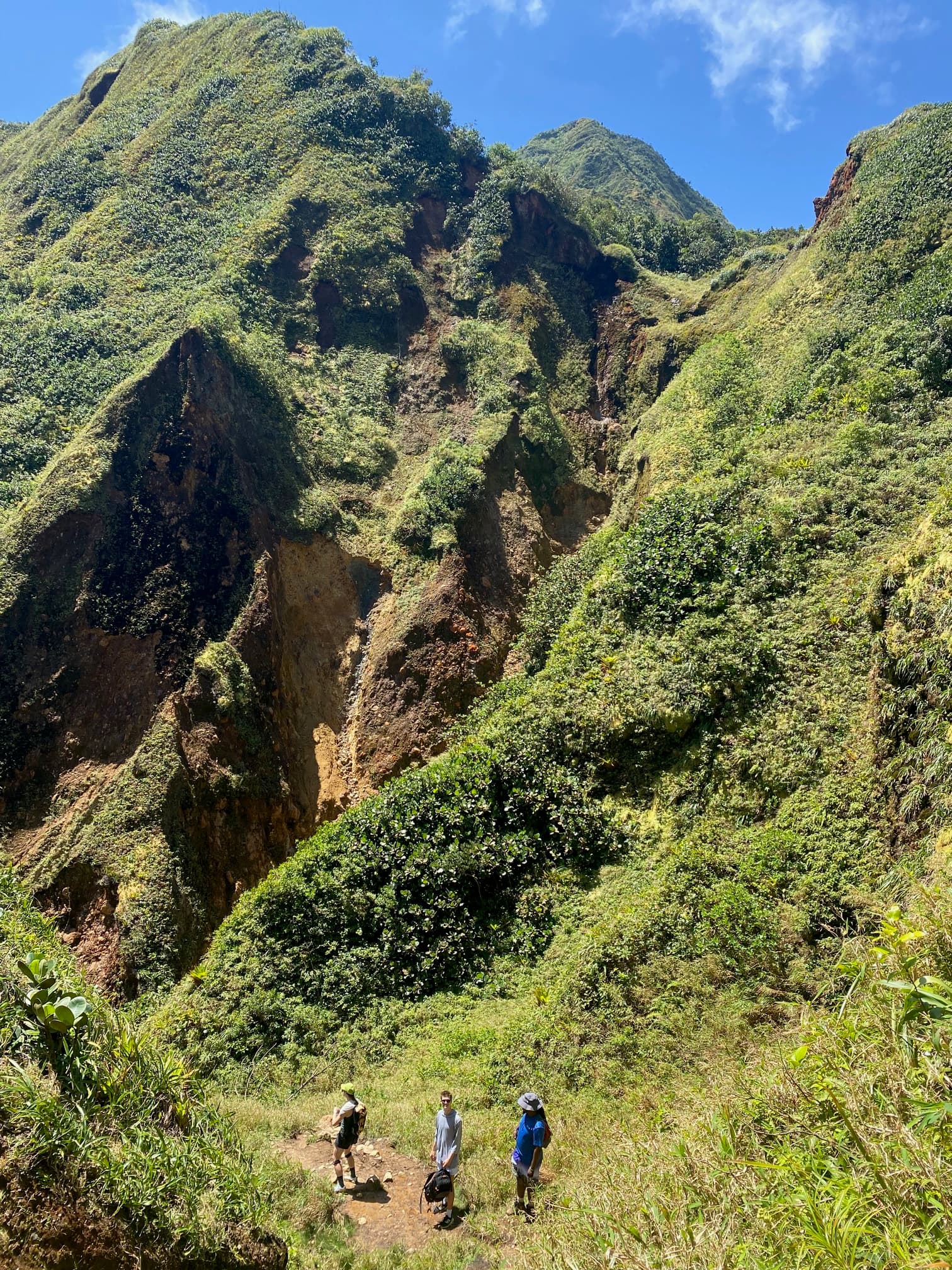 Dominica Will Leave You Speechless curated by Shea Breitling