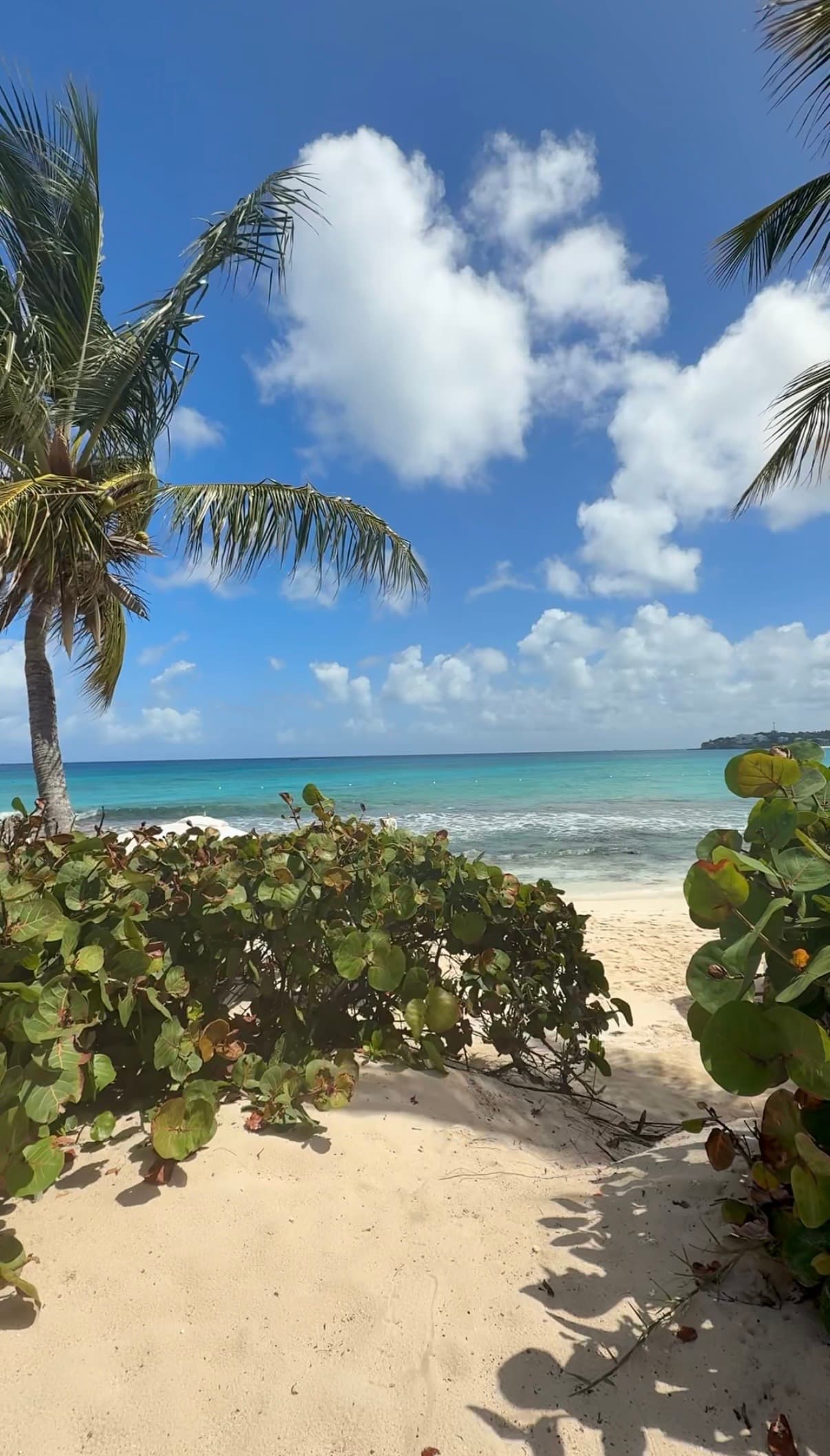 The Luxury Traveler’s Guide to Anguilla curated by Andrea Martorana