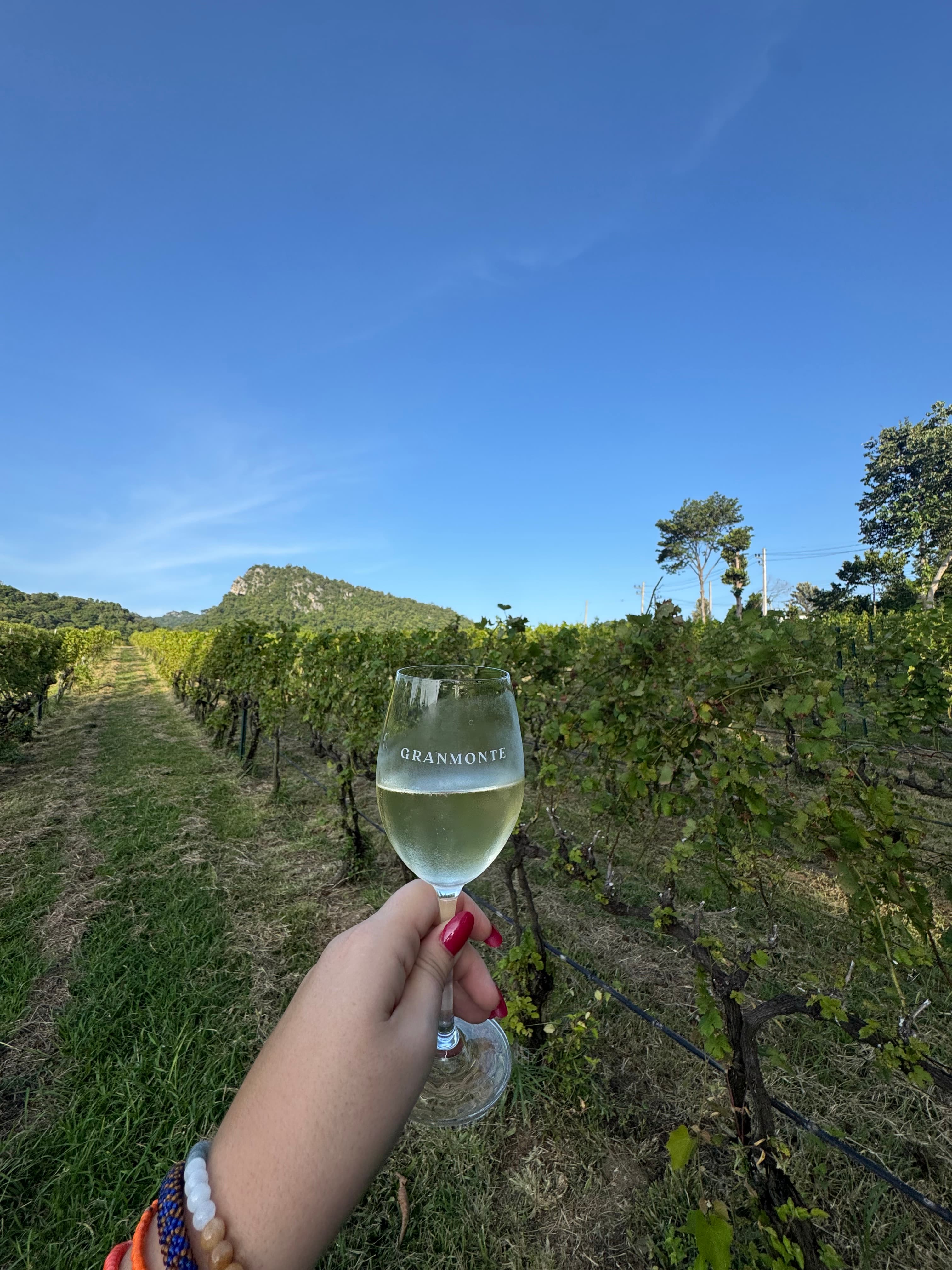 GranMonte Khao Yai: An Unforgettable Vineyard Experience in Thailand curated by Anne-Sophie Hurtaud
