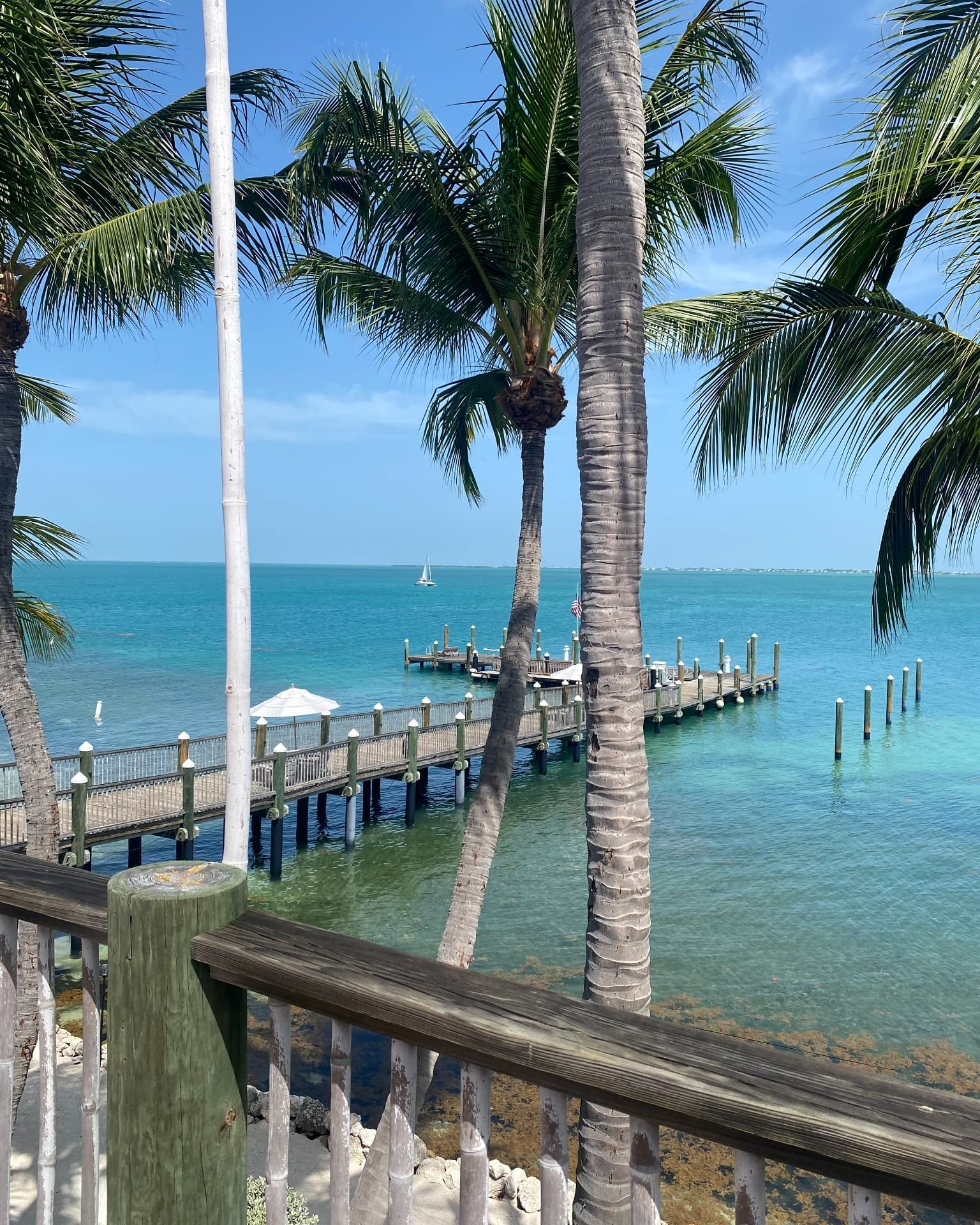 Little Palm Island Resort & Spa: Absolute Perfection in the Florida Keys curated by Shari Bemis