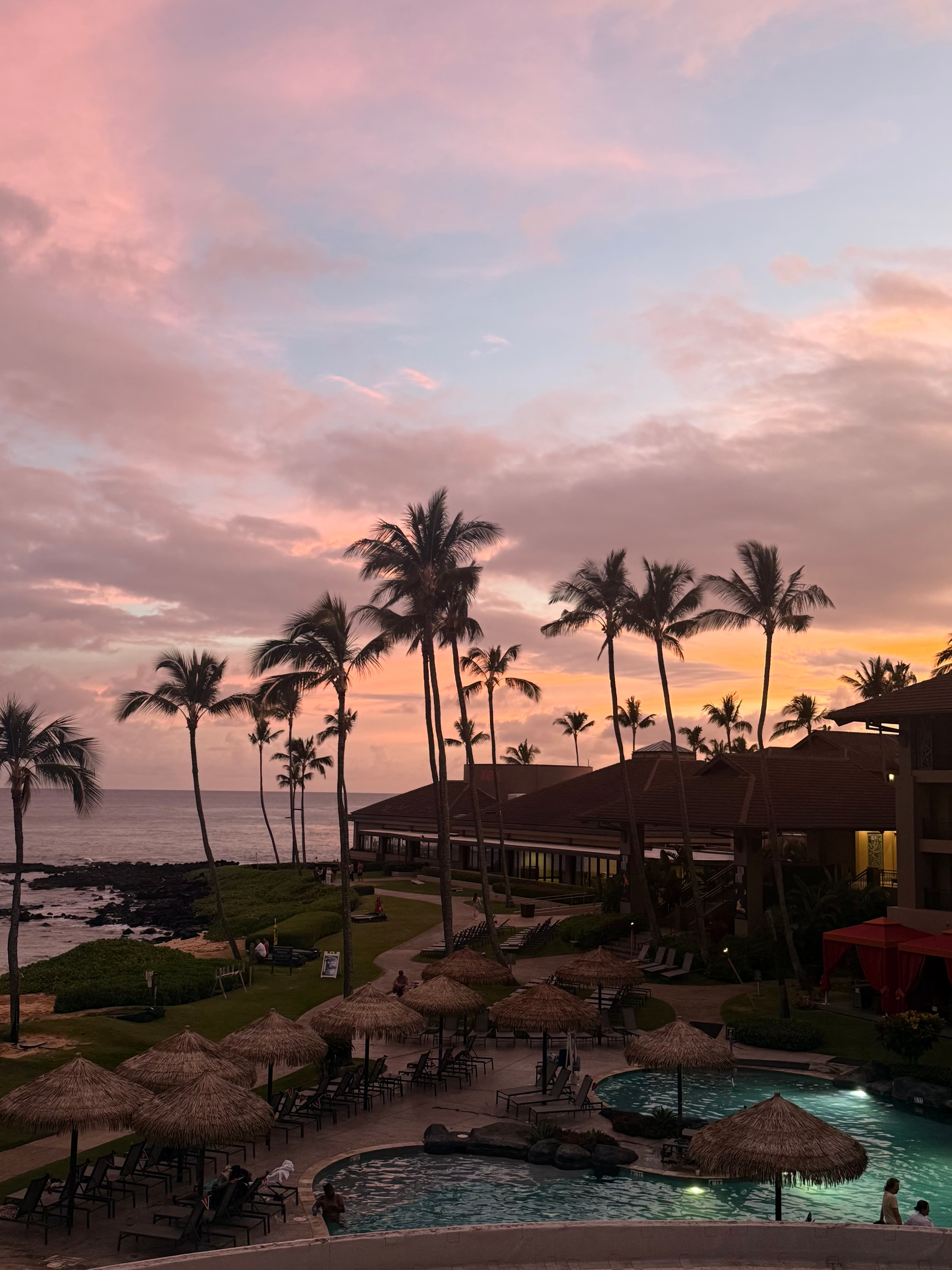 Falling in Love with Kauai curated by Renea Kocharian