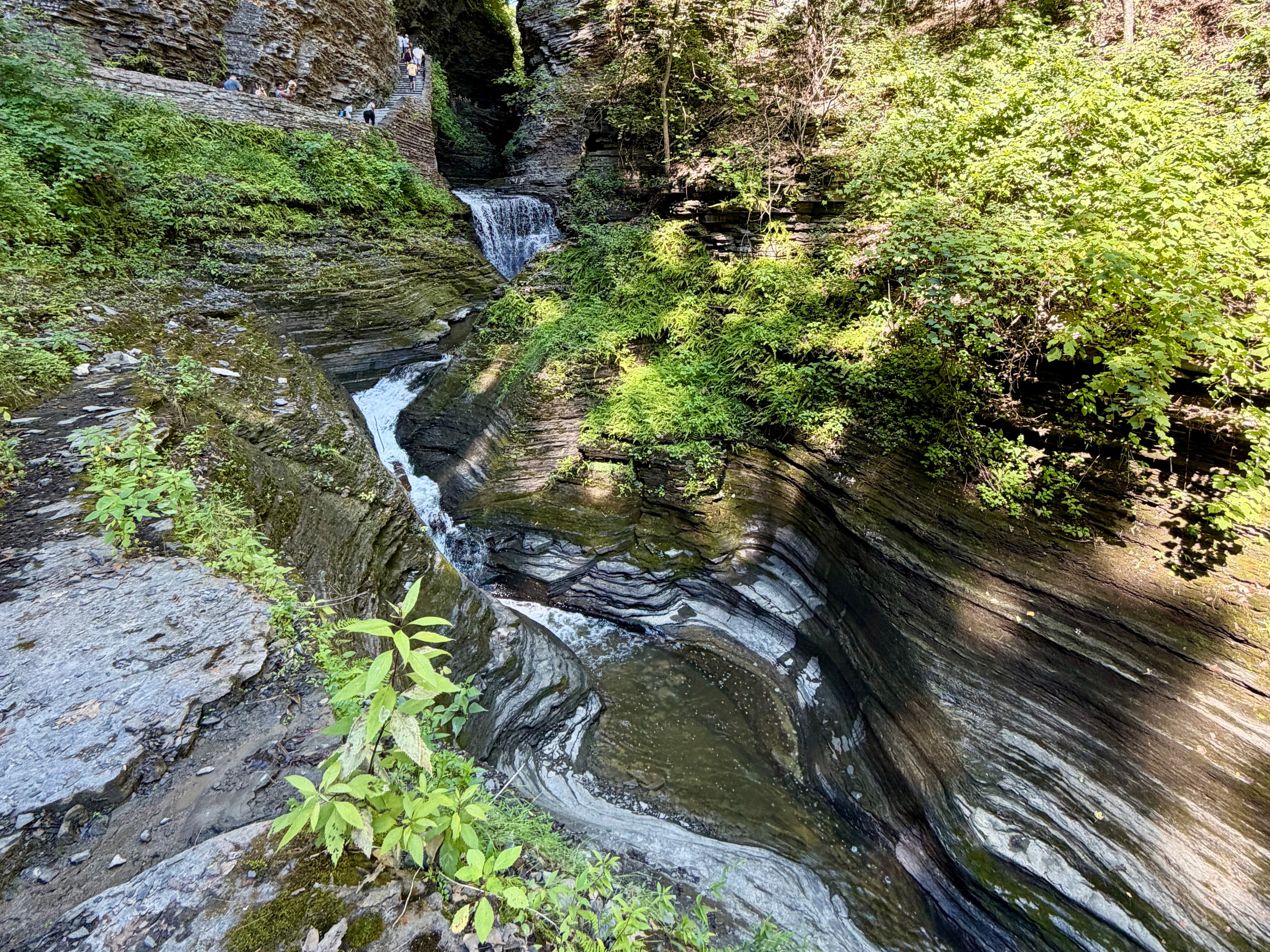 Gorges, Grapes & Getaways: Escape to the Finger Lakes curated by Sam Dwinell