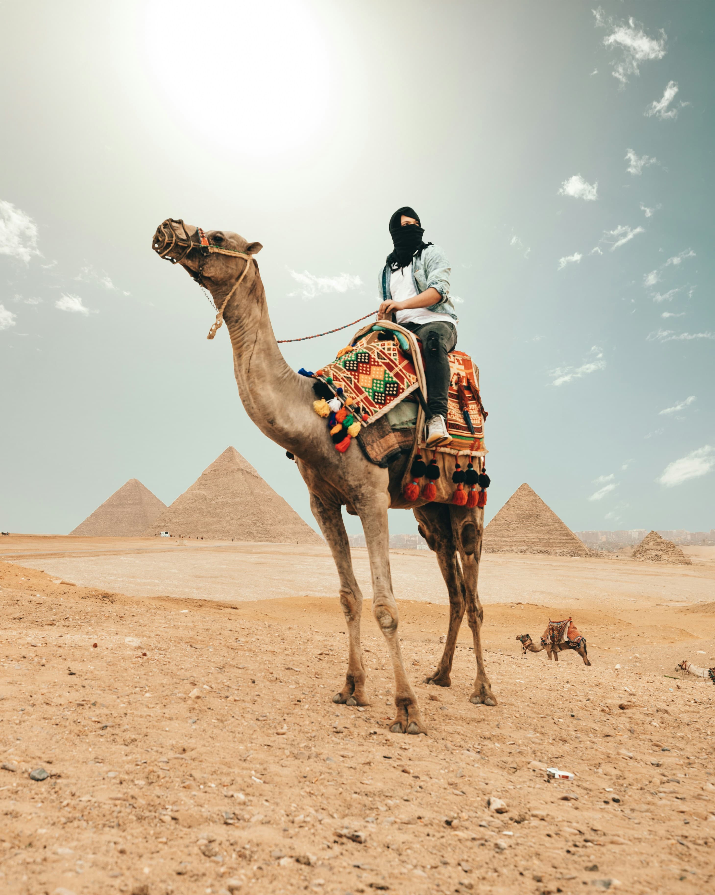 From the Sphinx to Sharm: A Grand Tour of Egypt curated by Lauryn Gulledge