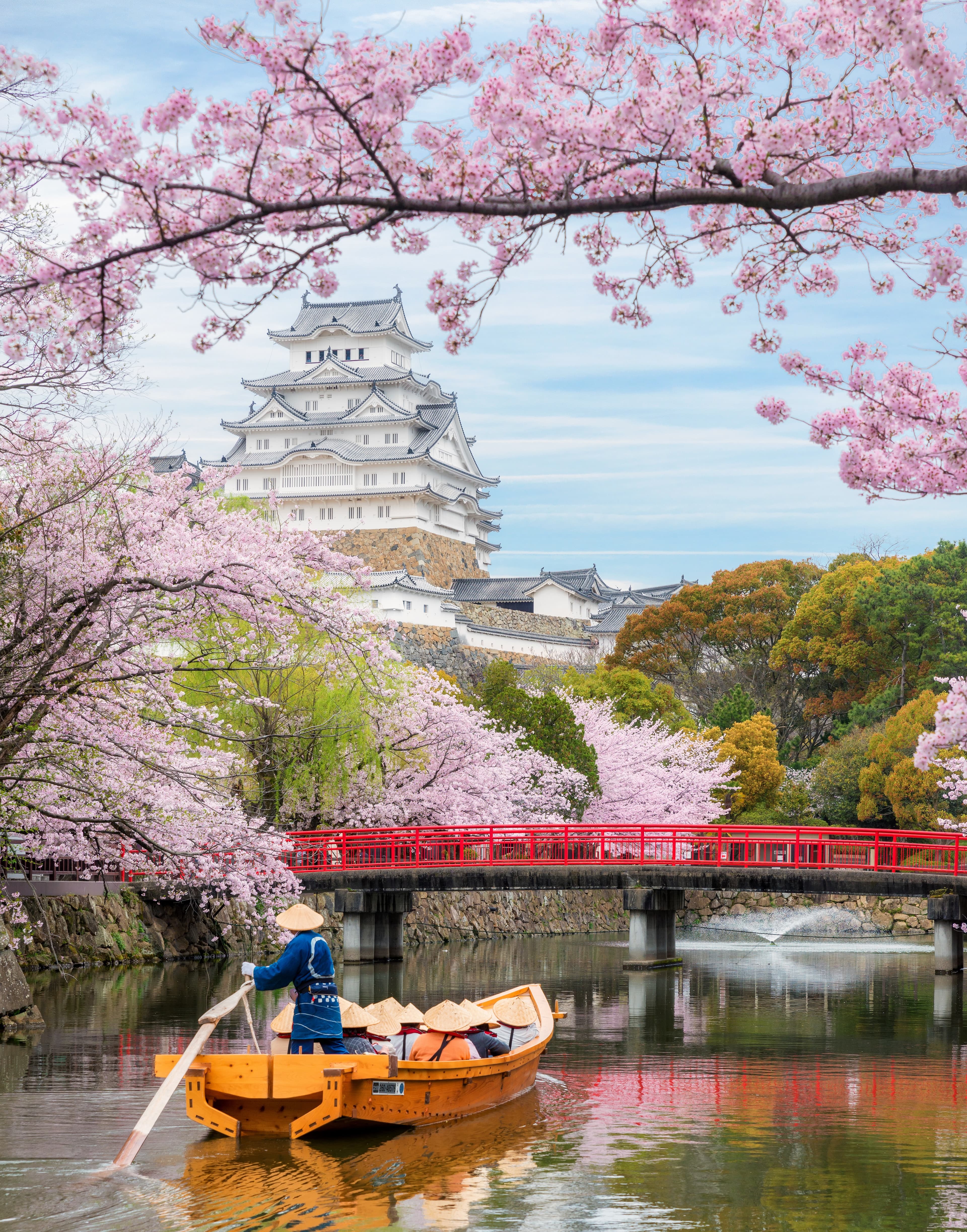 Japan Cherry Blossom Cruise: Hong Kong to Tokyo on Ritz-Carlton Yacht Luminara curated by Karyn Pavich