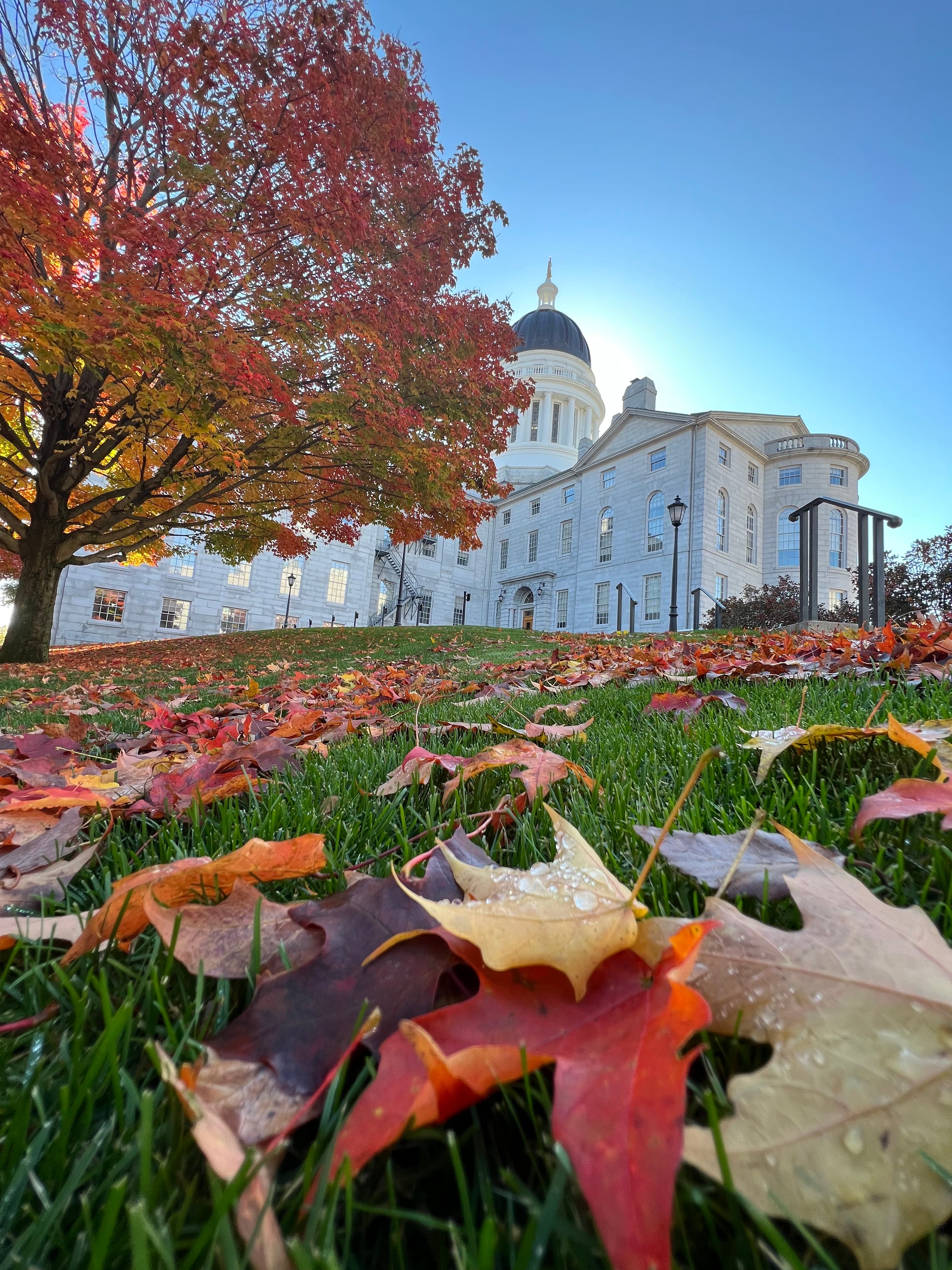 Crimson Canopy: Discover Maine’s Fall Splendor on a Van Life Adventure curated by Erica Hanger