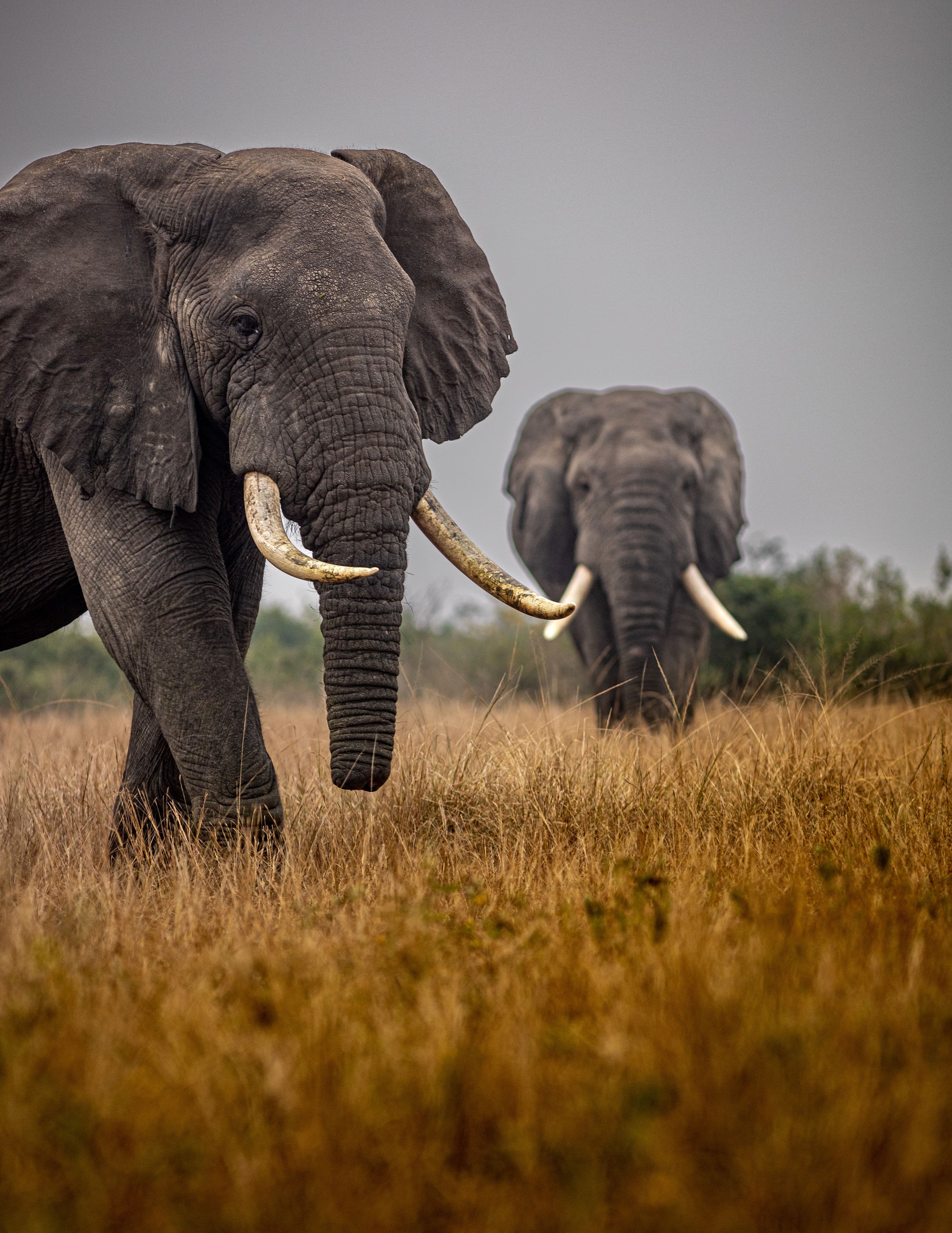 Inside Four Seasons Safari Lodge Serengeti: Why This Luxury Safari Belongs on Your Bucket List curated by Regina Etherly