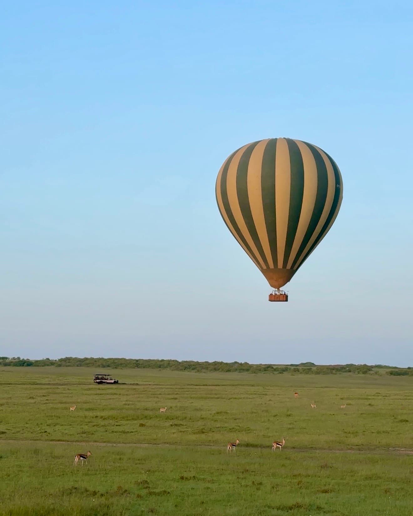 A Slow Safari Through Kenya: From Tsavo to the Mara curated by Falguni Patel