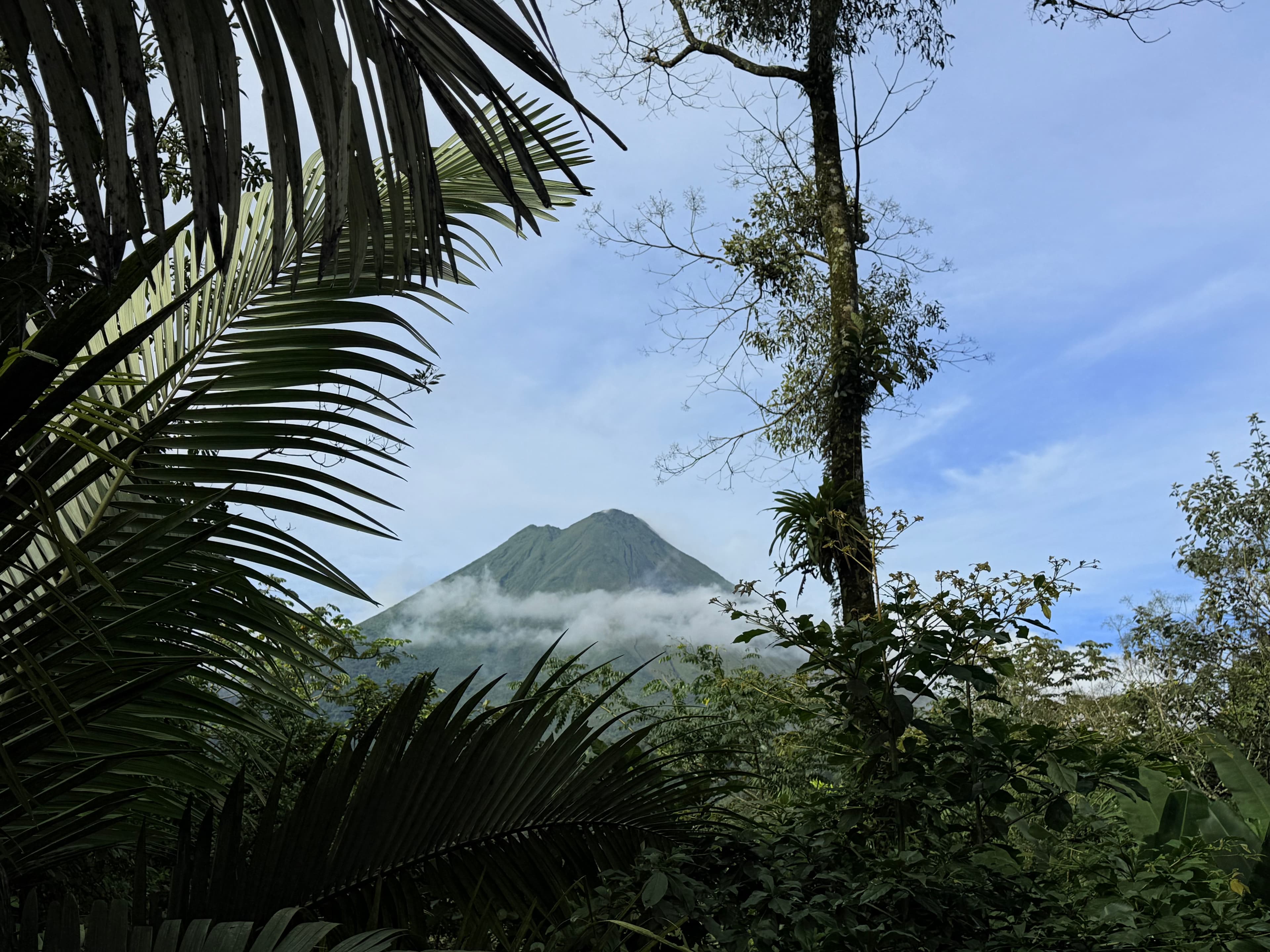Family Adventure in Northern Costa Rica curated by Erica Alexander