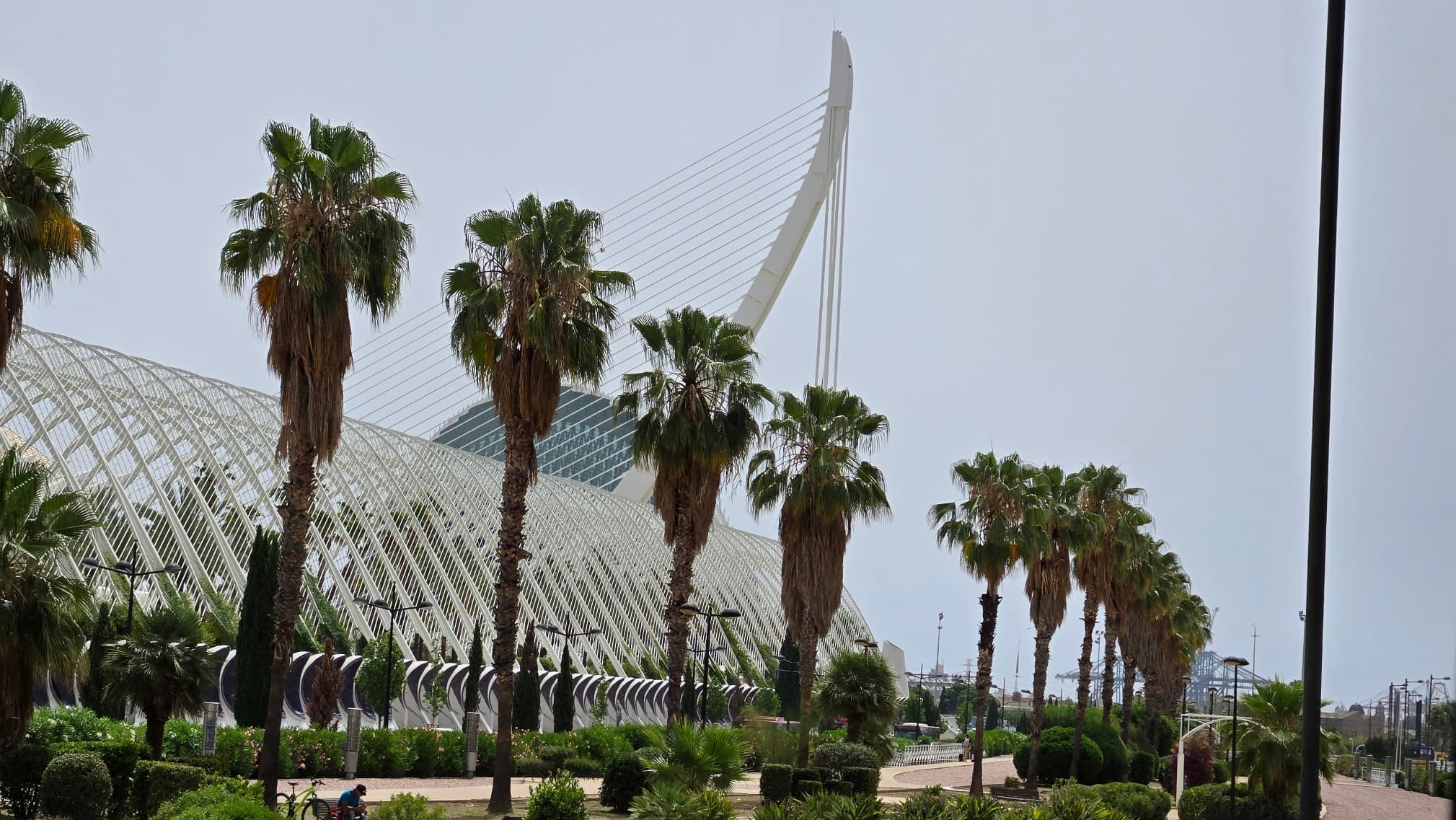 Travel photo 5