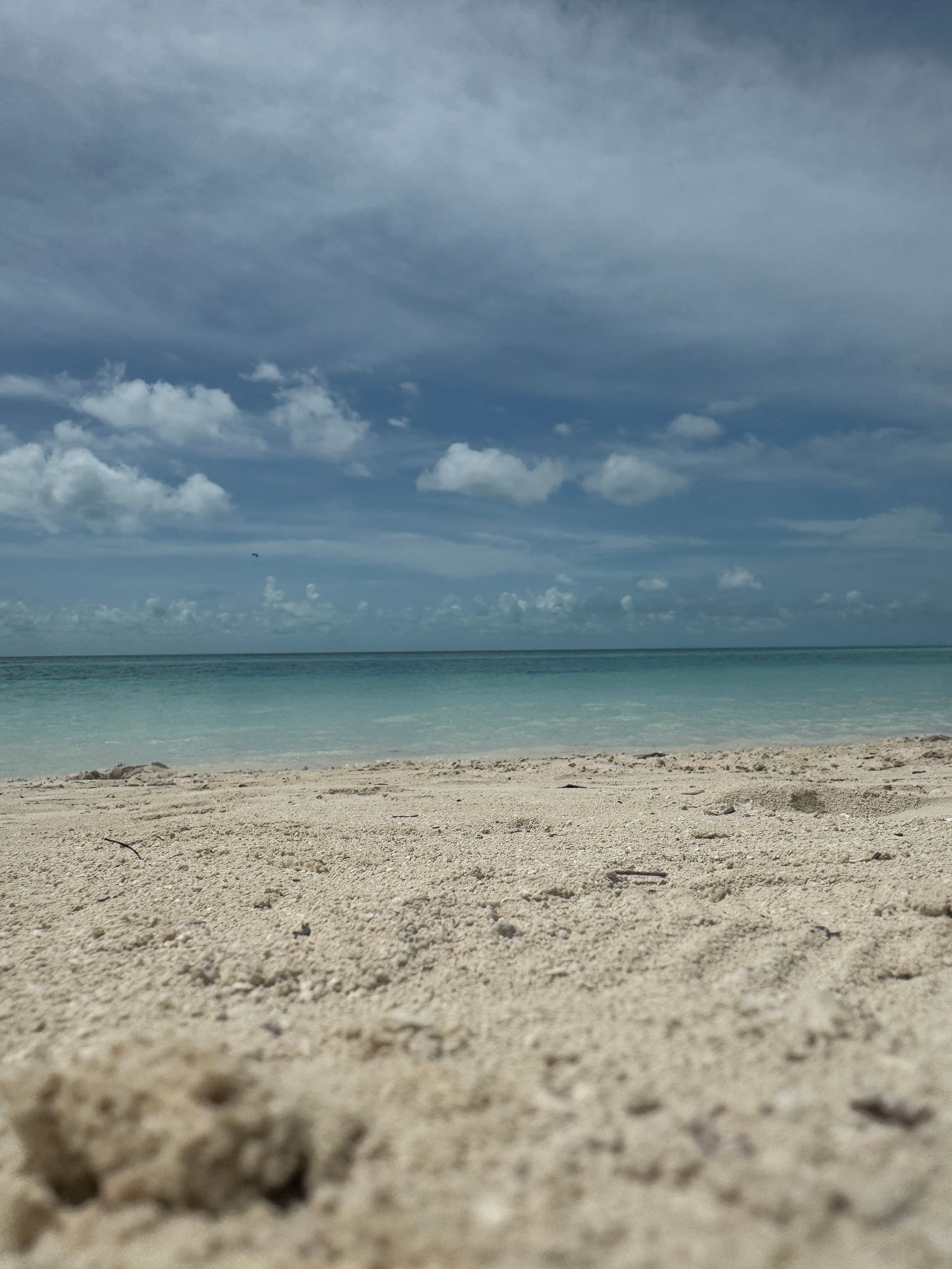 Travel photo 8