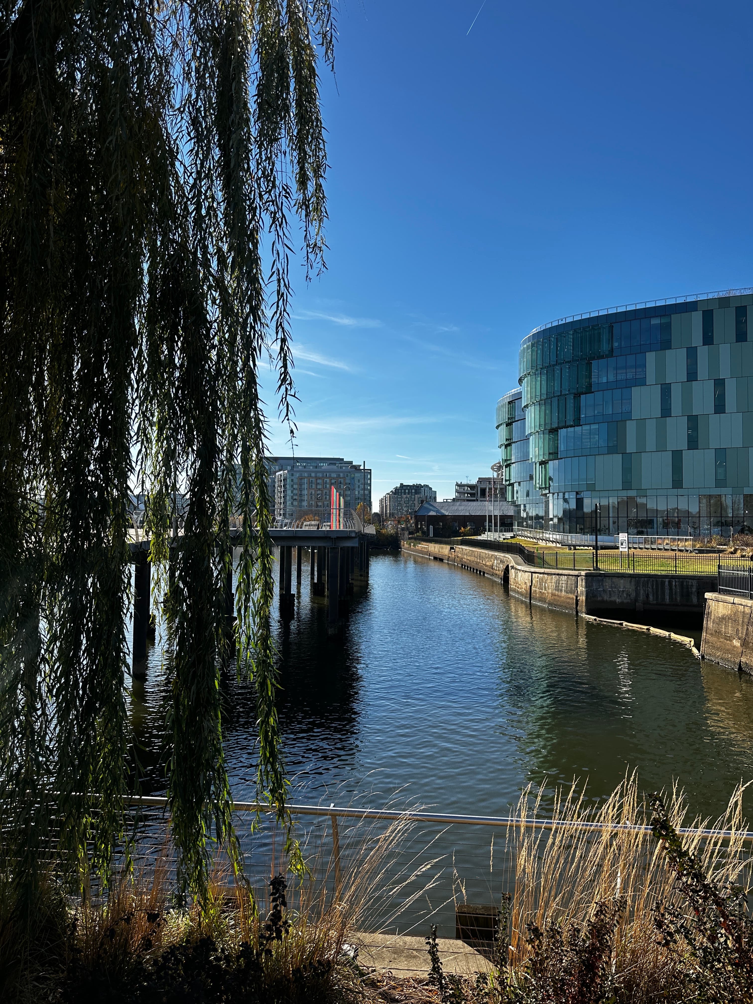 A Waterfront Thanksgiving: Discovering DC’s Hidden Gem, the Thompson ...
