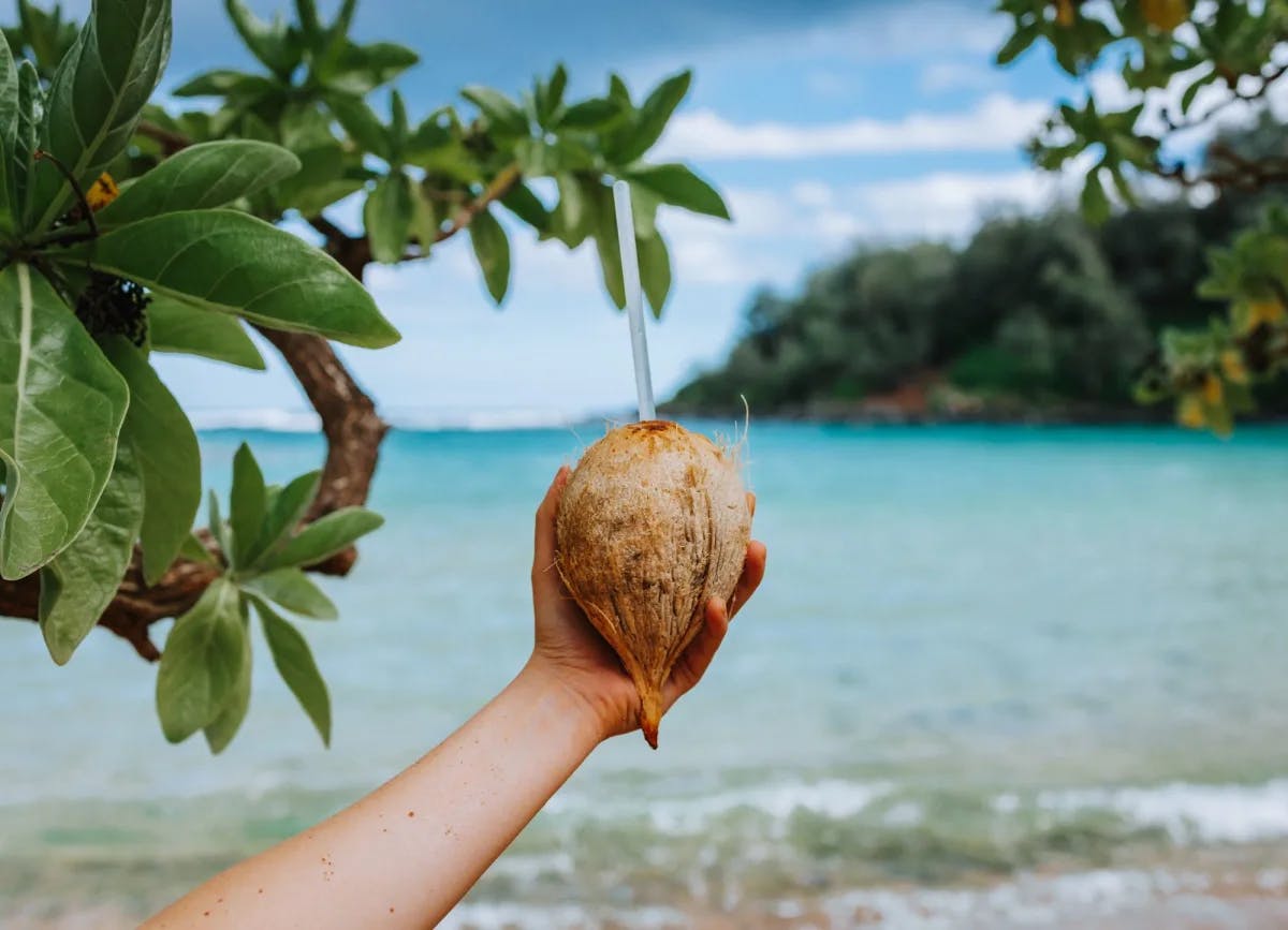 coconut on the beach with a straw
