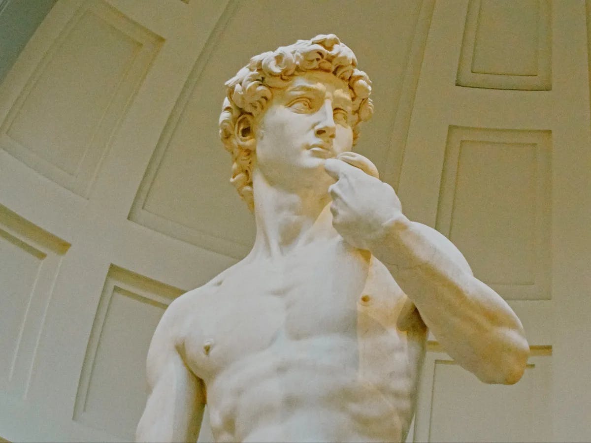 Michelangelo's The David statue from the waist up.