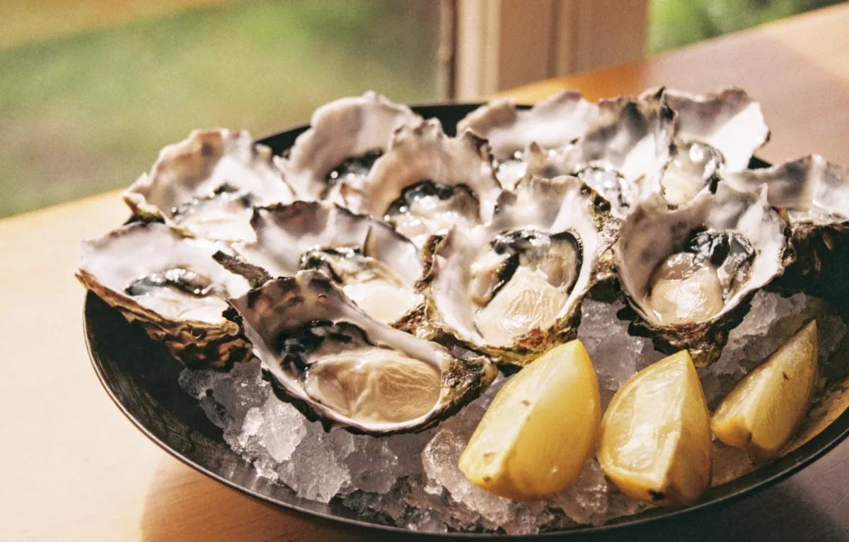 A plate of oysters and lemon wedges. 