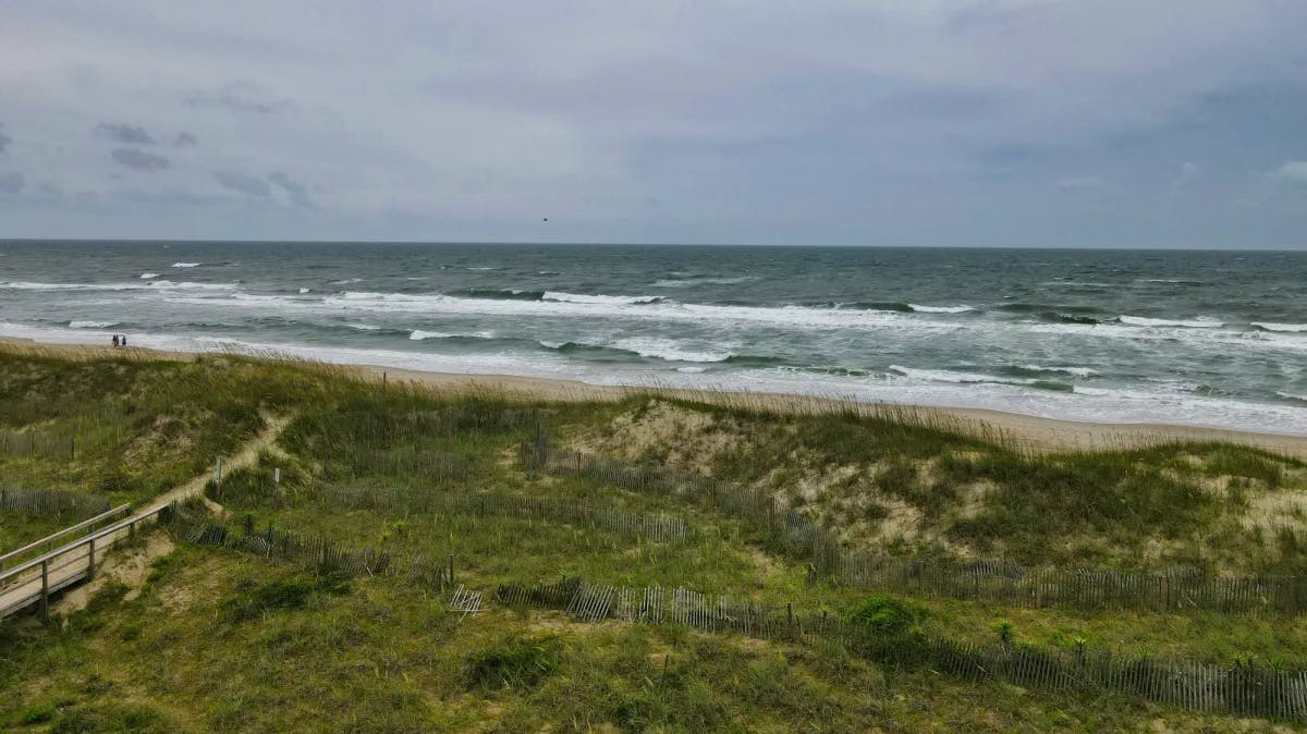 A view of a beach, wild grasses and the ocean waves rolling in at daytime. 