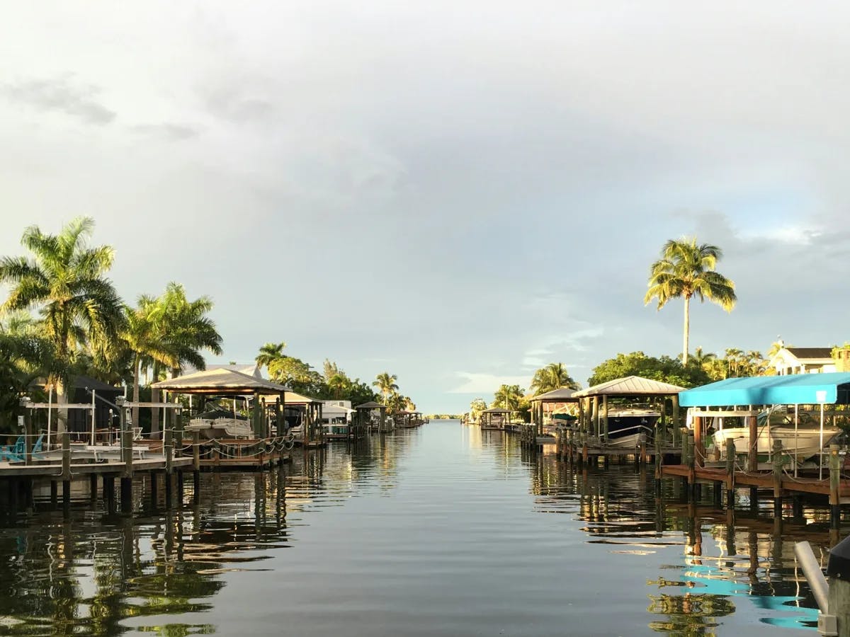 A view of a canal with boats docked around palm trees on a cloudy day. 