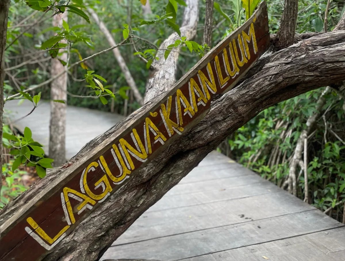 A picture of a sign in the jungle that says Laguna Kaanluum. 